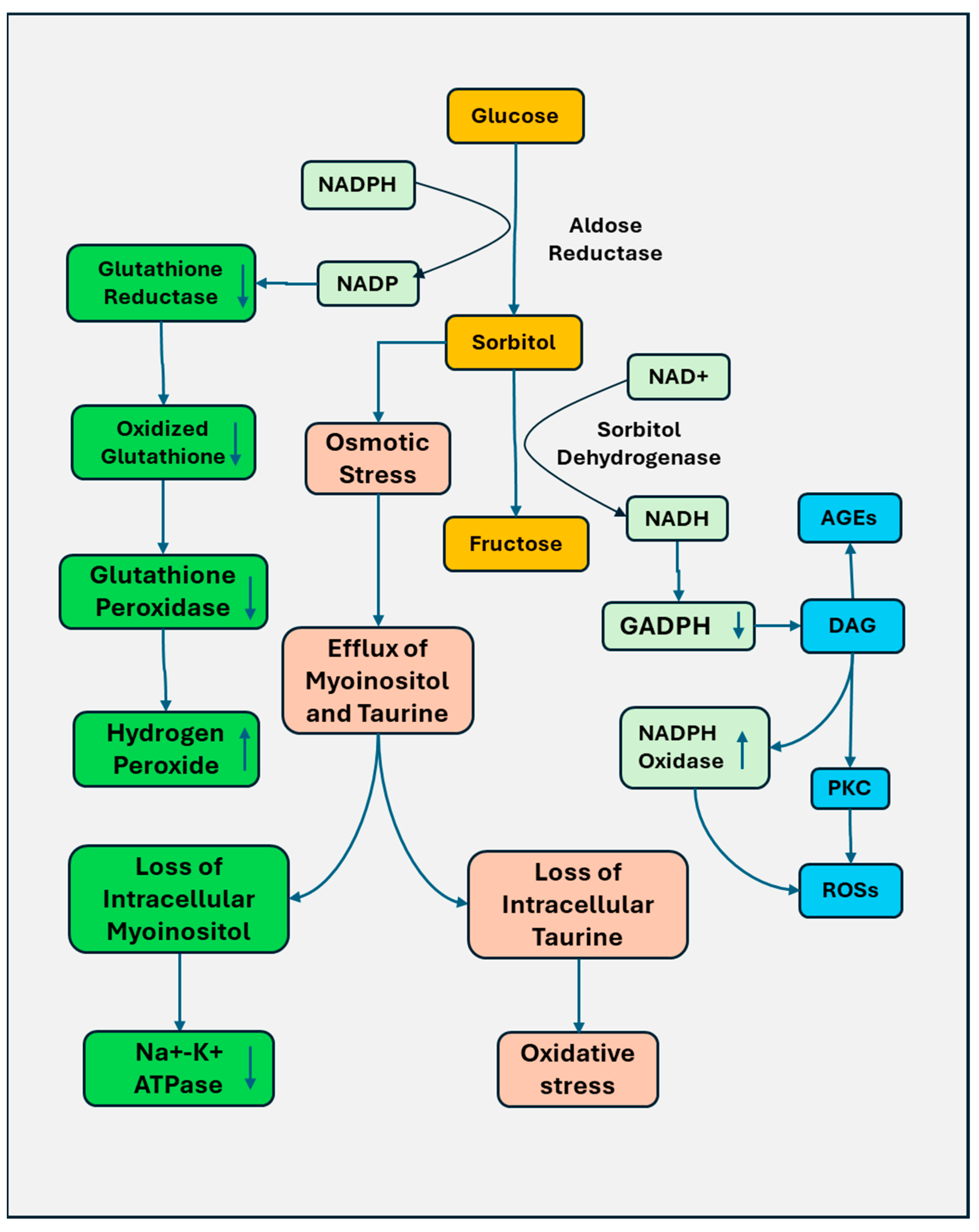 Biomedicines 13 00413 g001