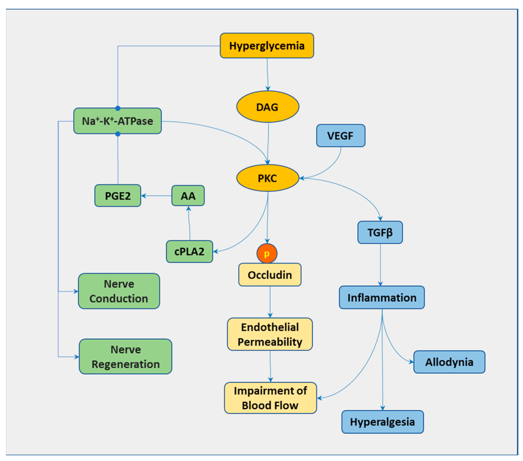 Biomedicines 13 00413 g002