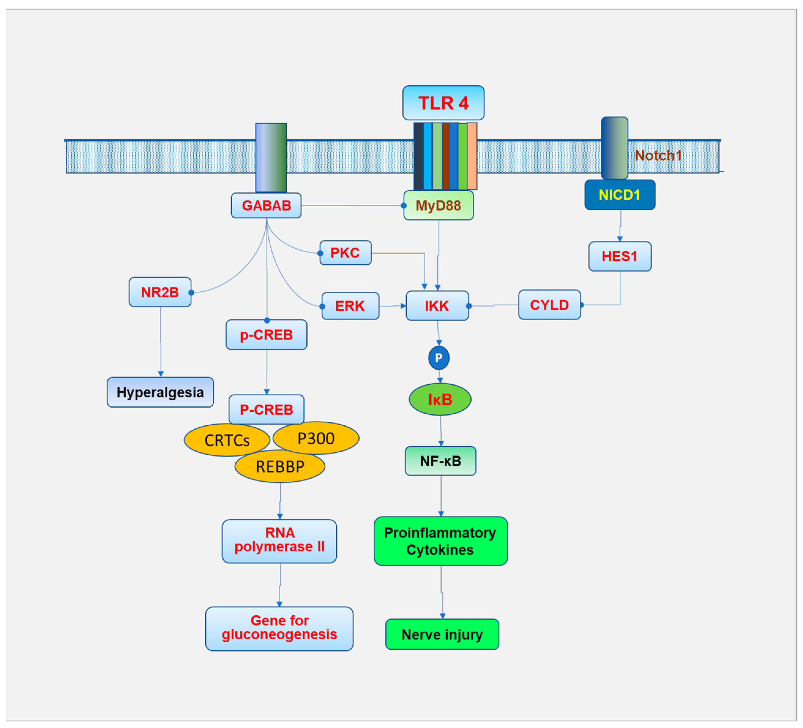 Biomedicines 13 00413 g005
