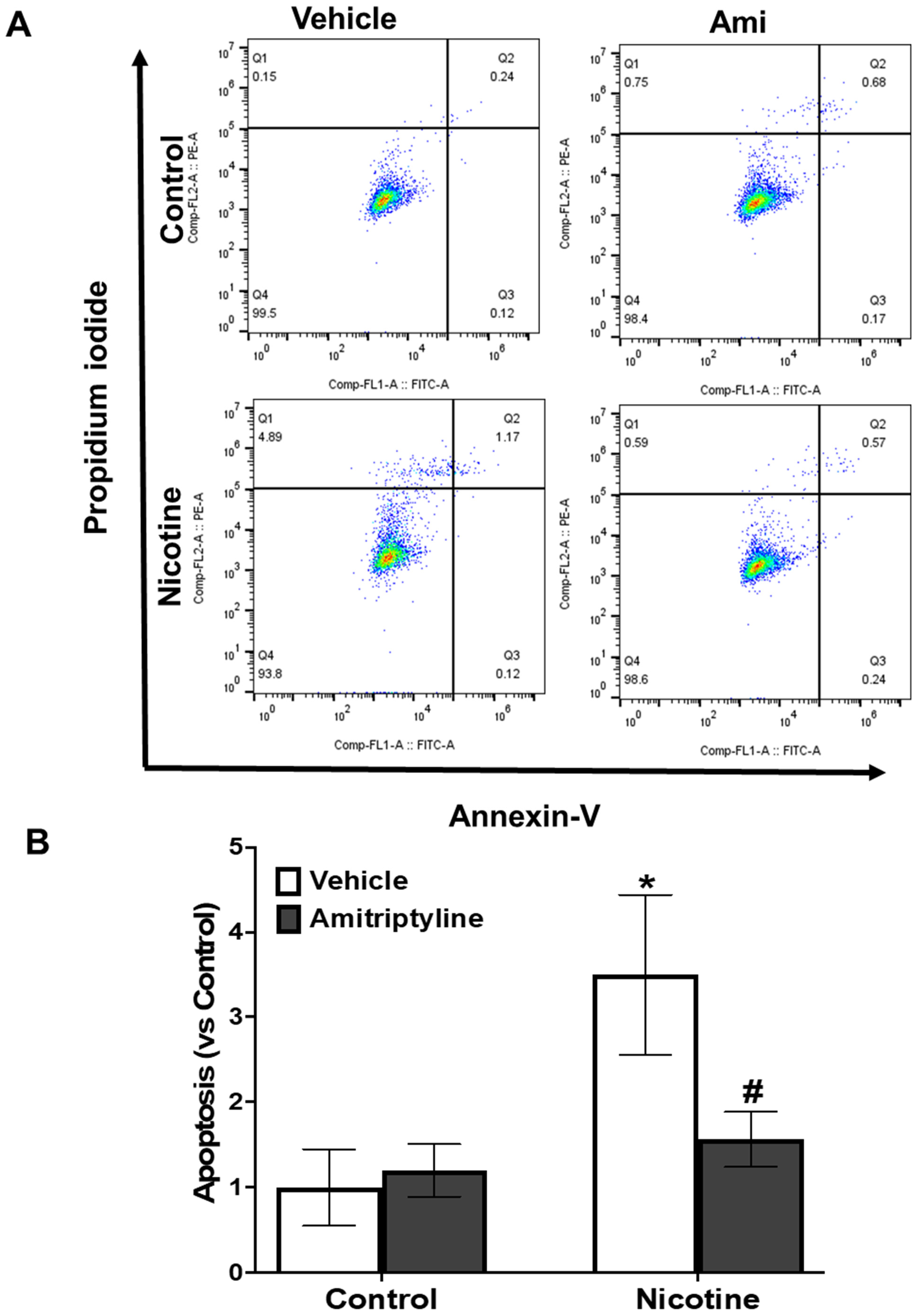 Biomedicines 13 00416 g009