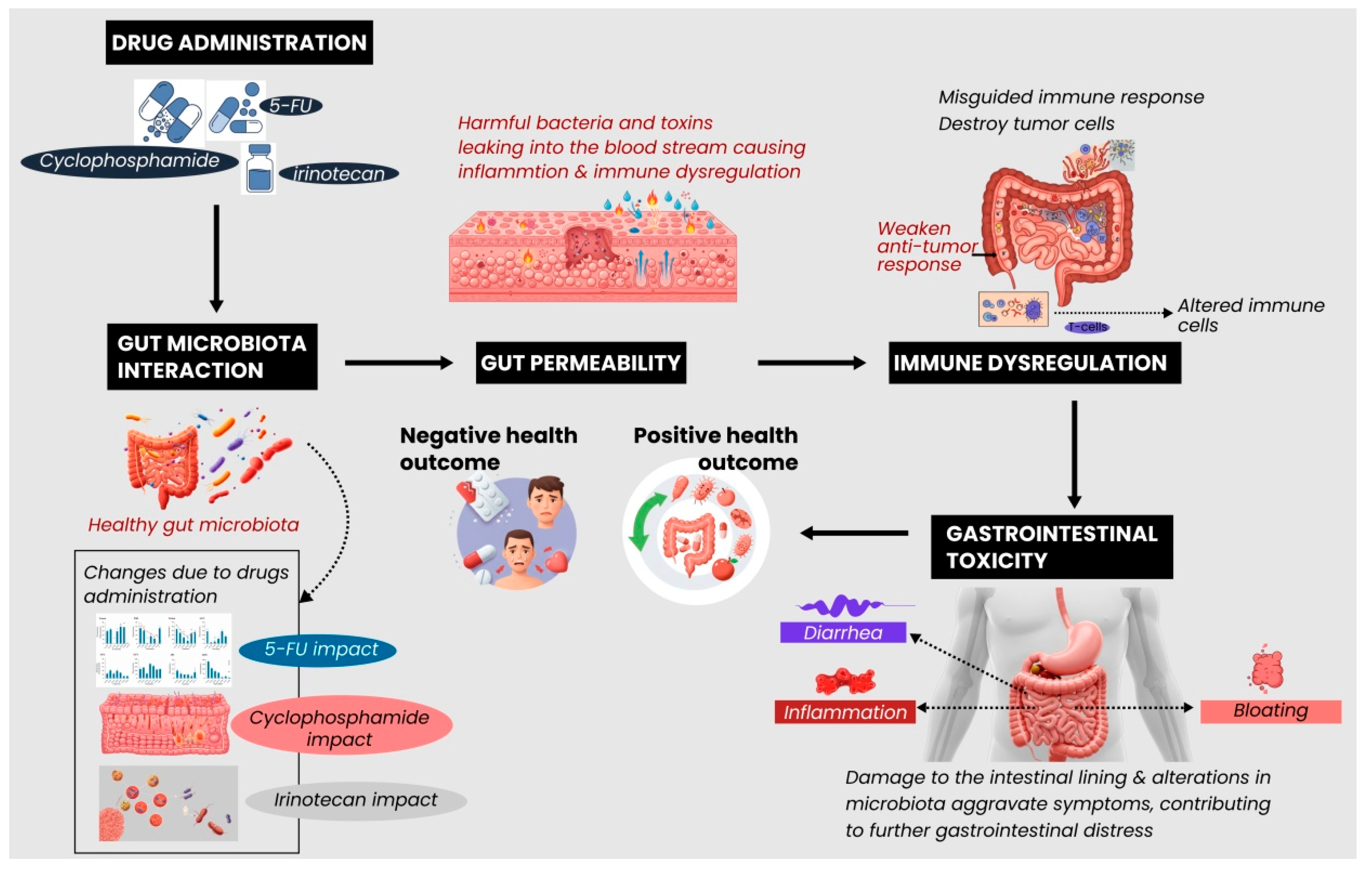 Biomedicines 13 00422 g001