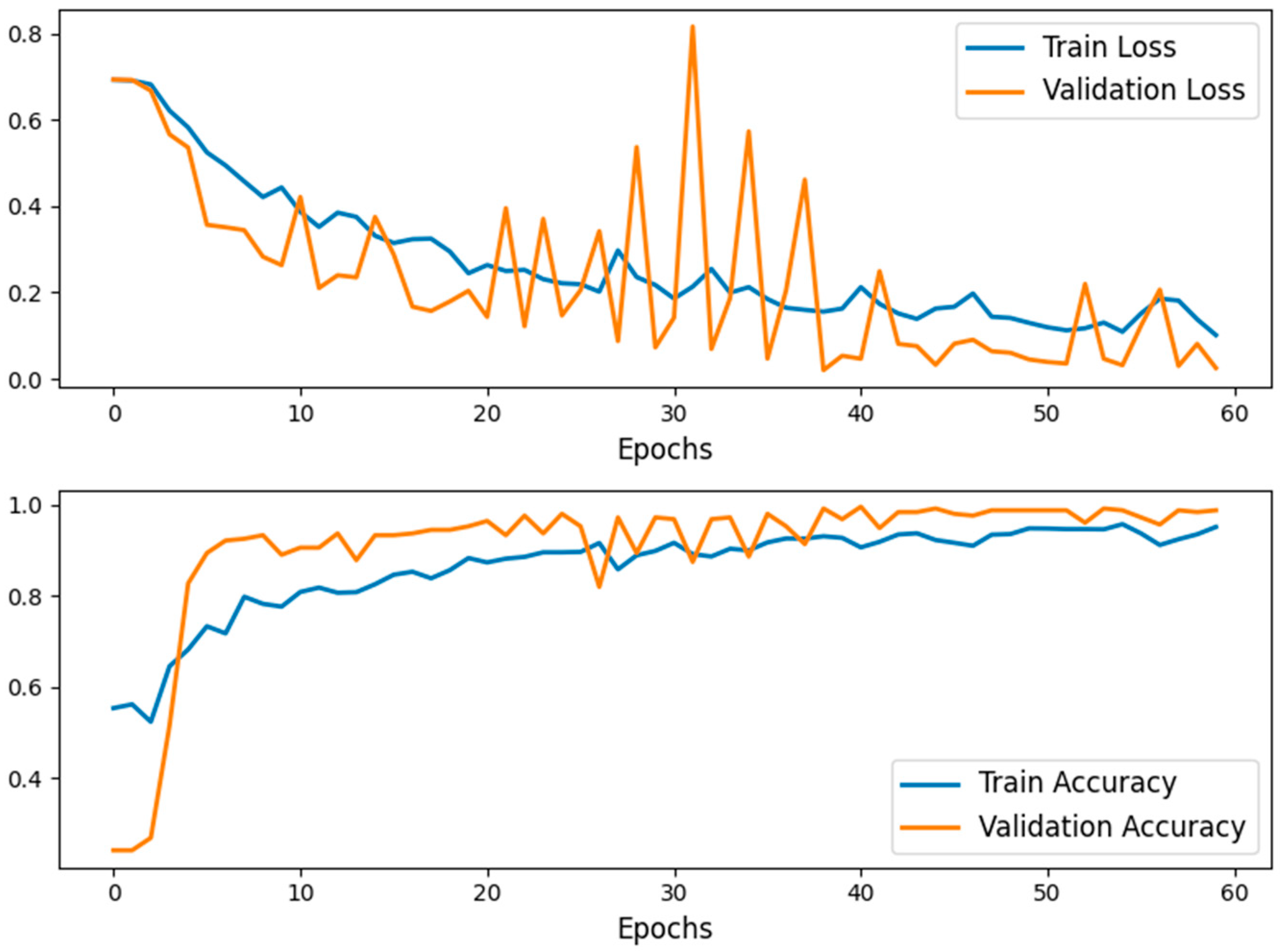 Biomedicines 13 00423 g005