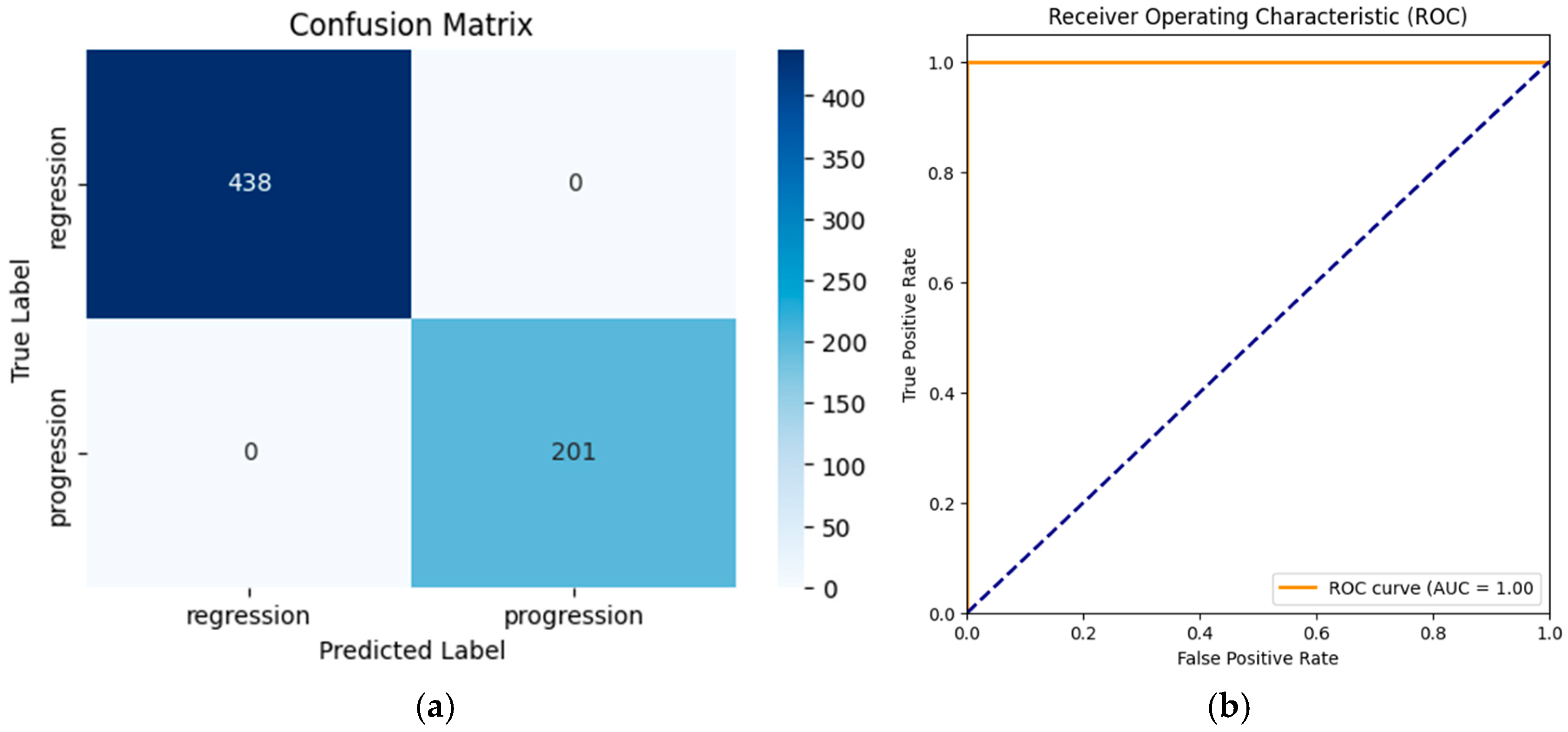Biomedicines 13 00423 g010
