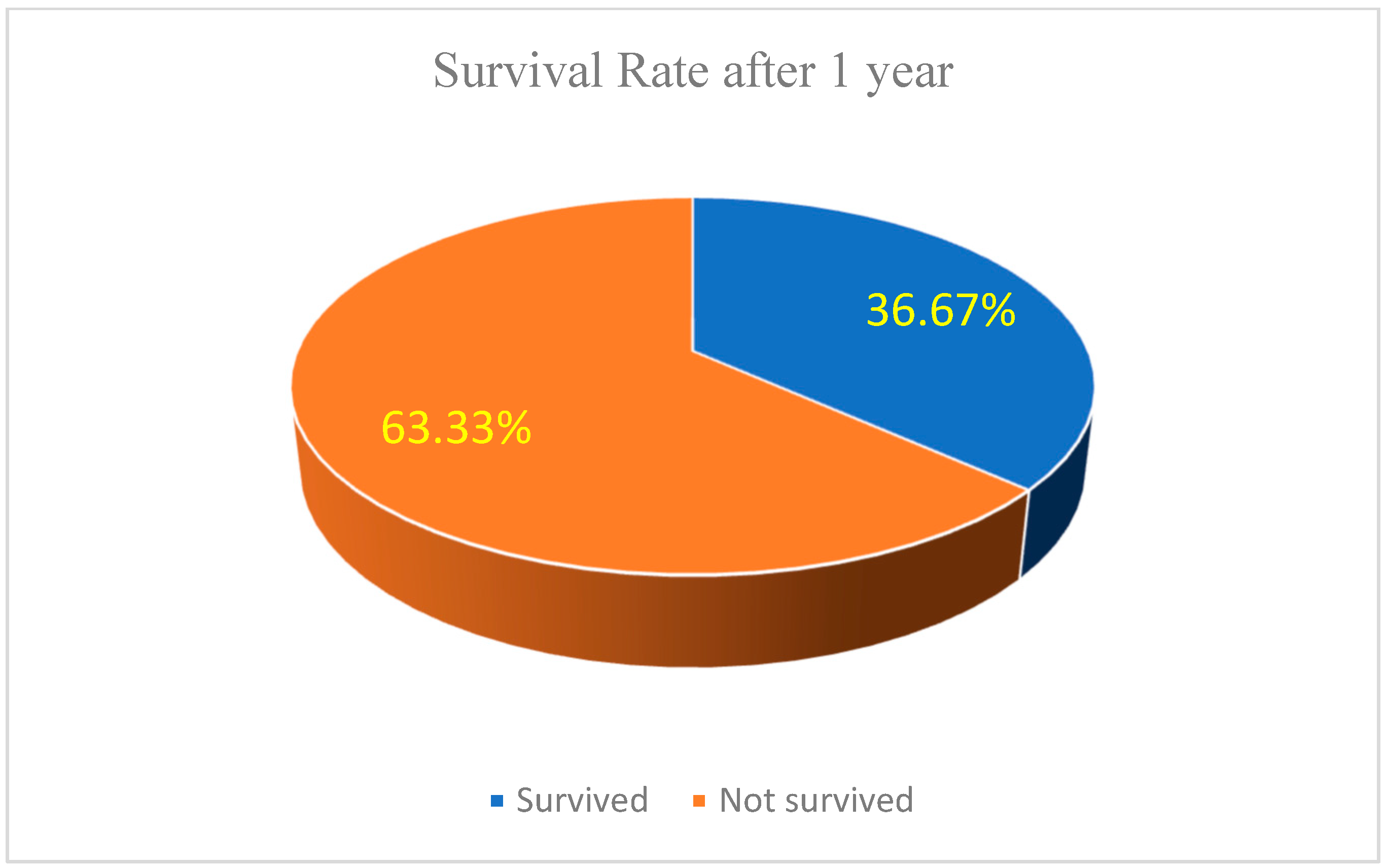 Biomedicines 13 00423 g013