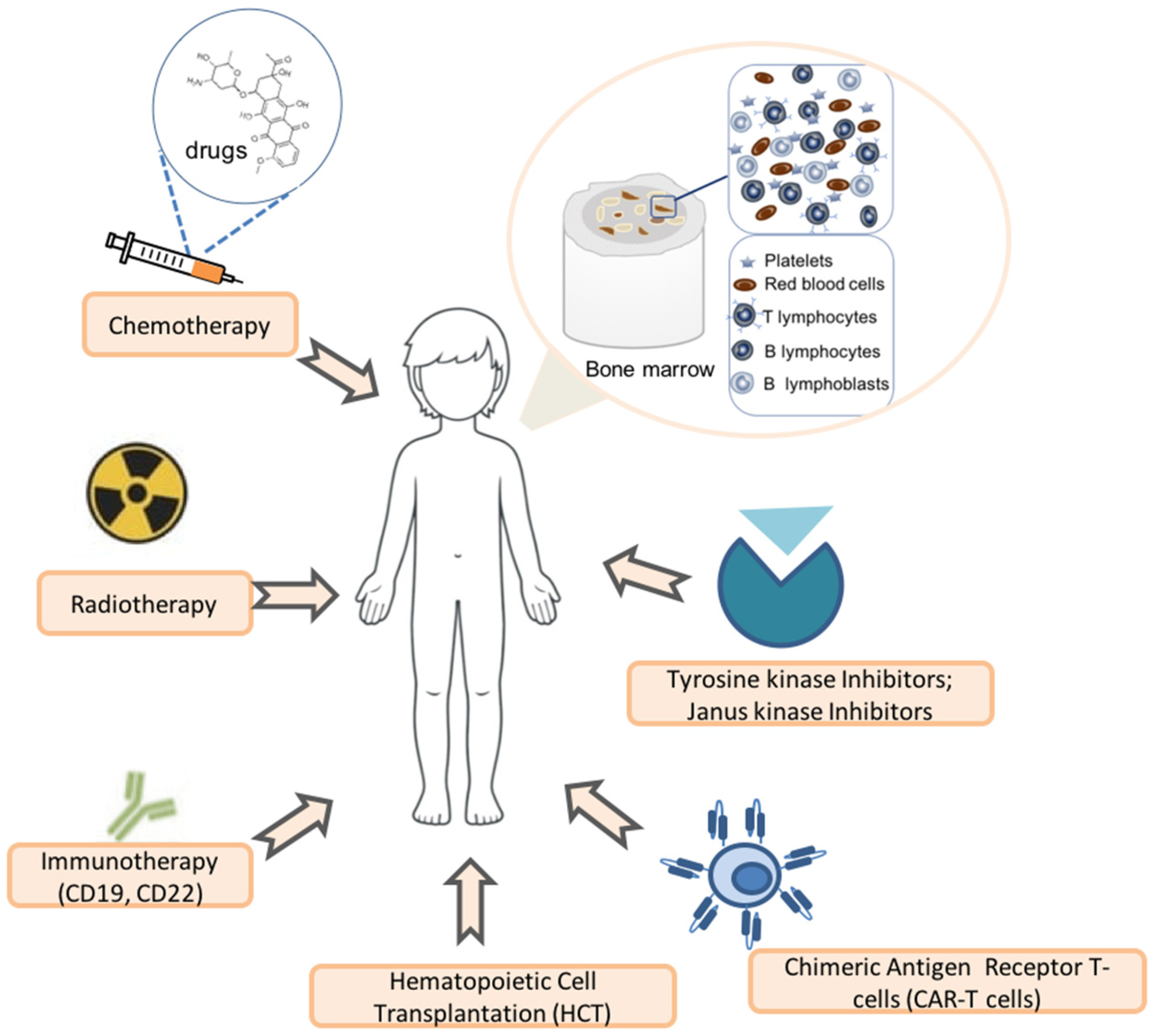 Biomedicines 13 00424 g001