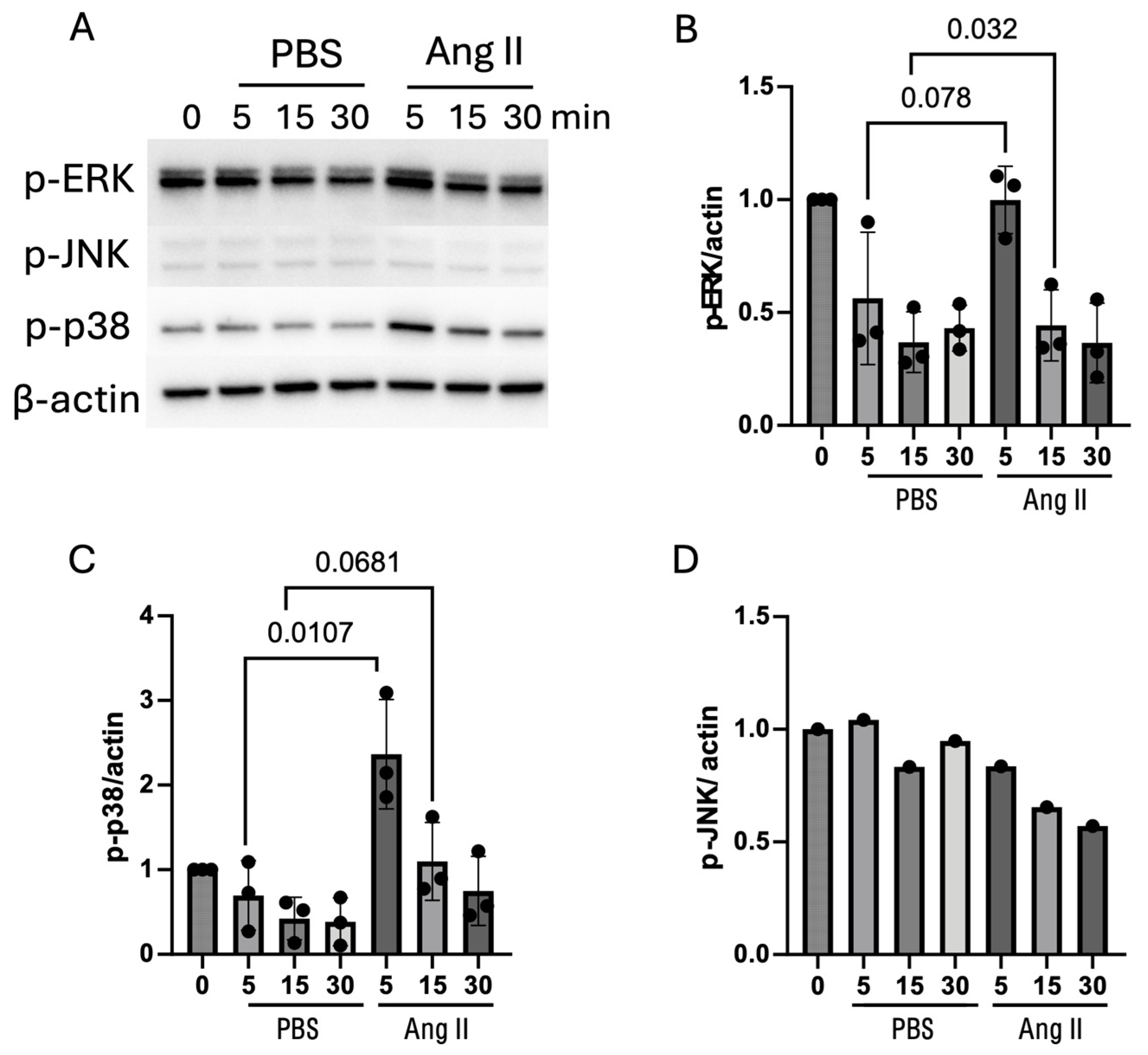 Biomedicines 13 00426 g005