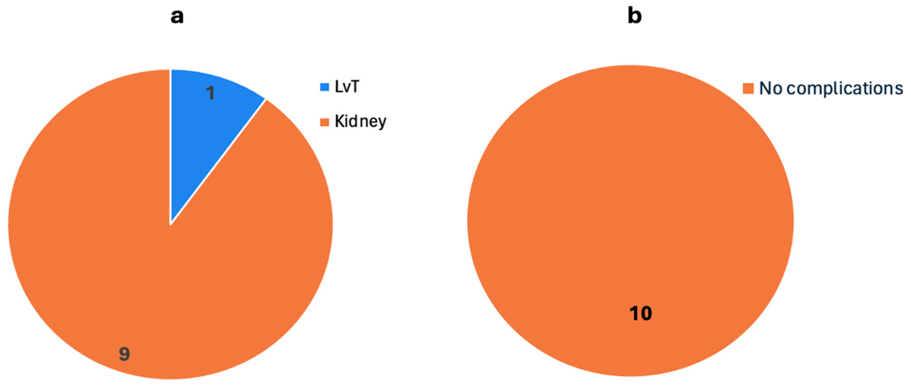 Biomedicines 13 00428 g008