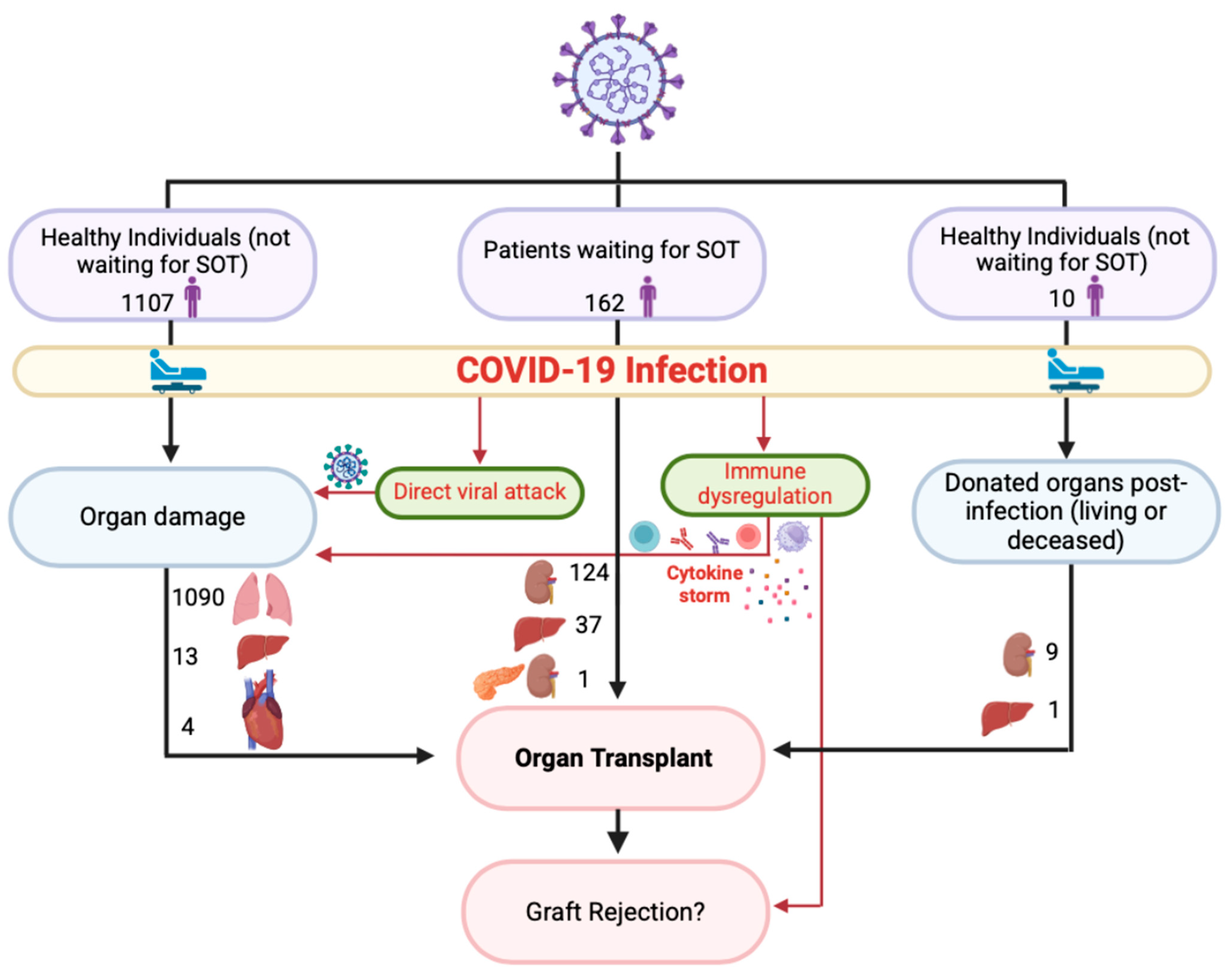 Biomedicines 13 00428 g009