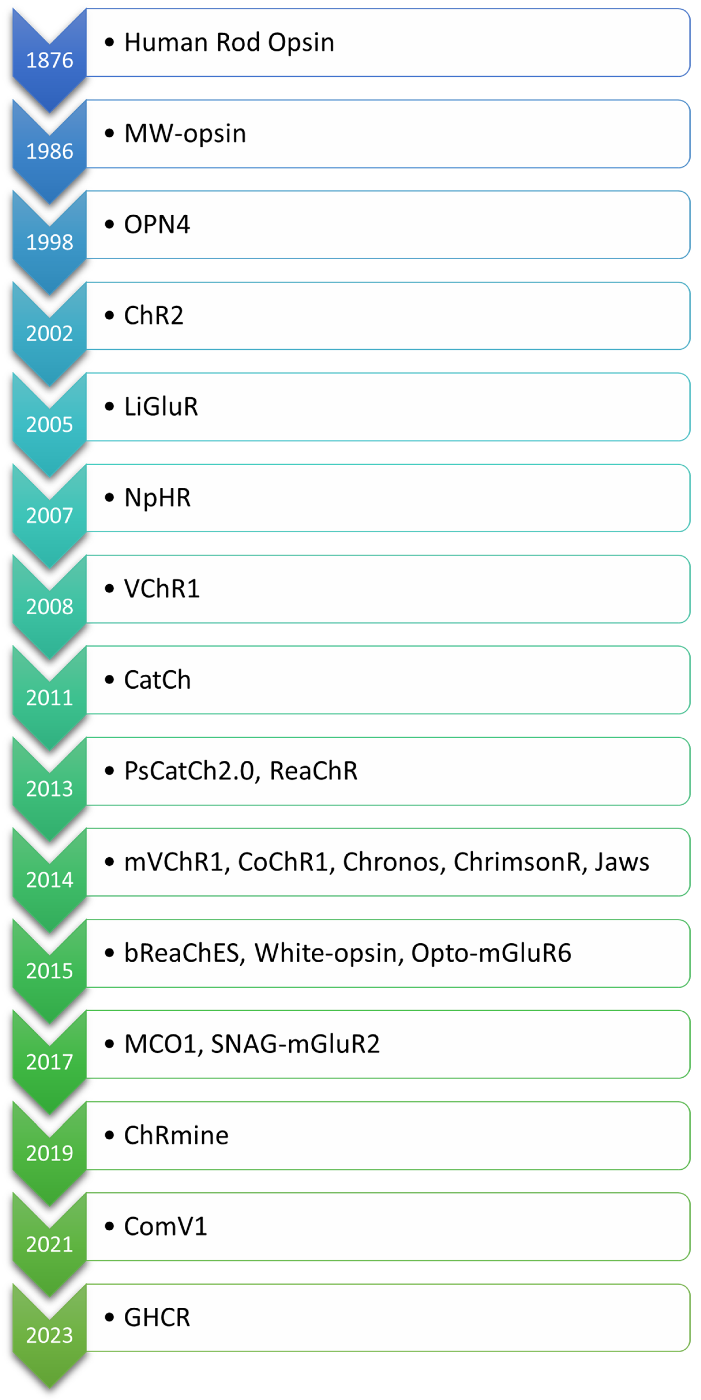 Biomedicines 13 00429 g002