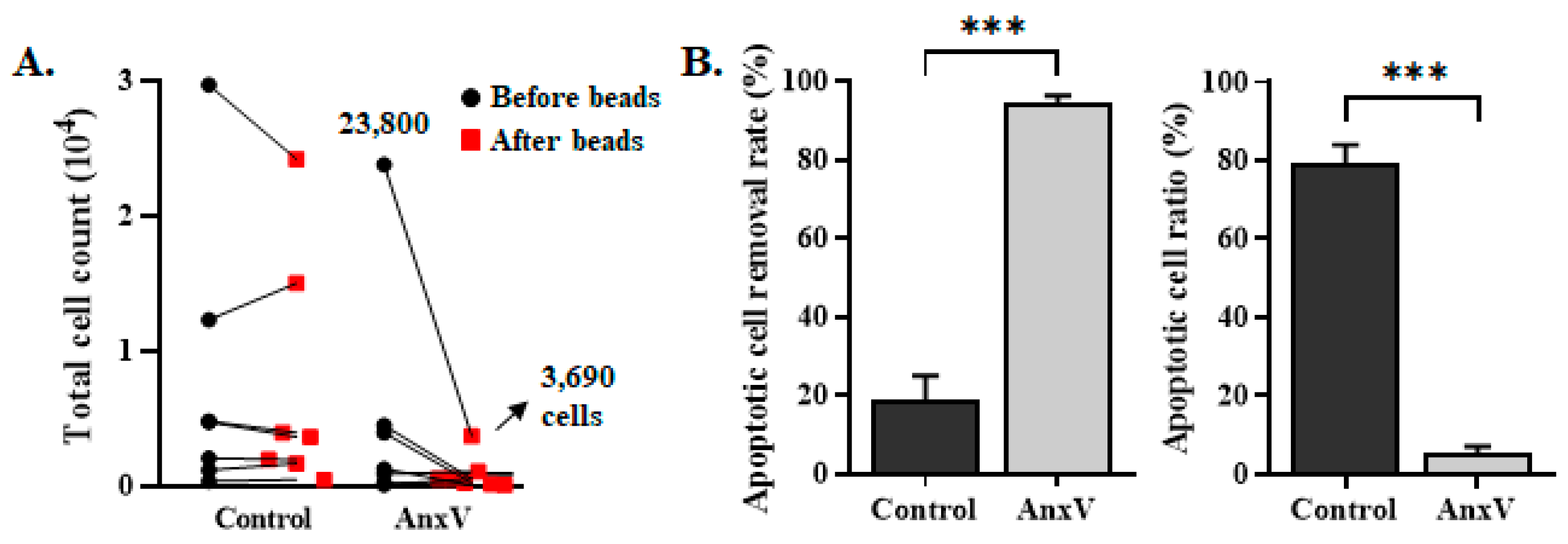 Biomedicines 13 00431 g005