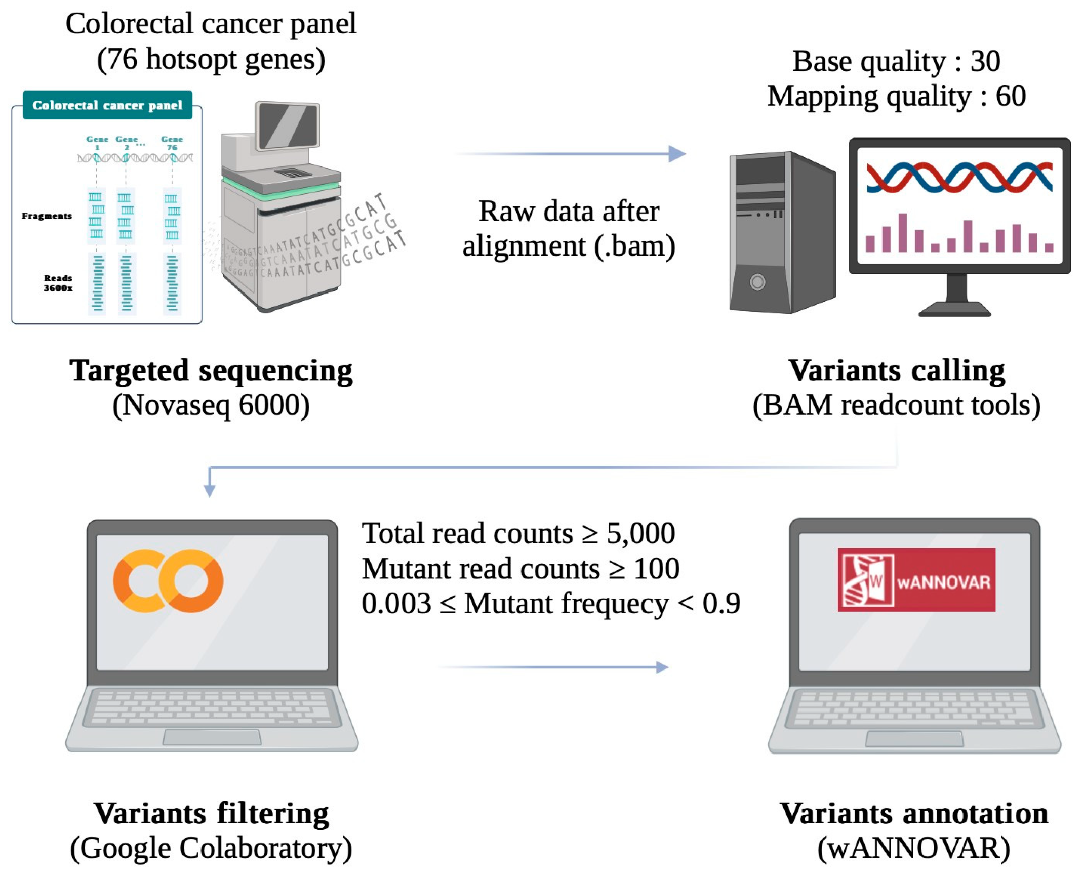 Biomedicines 13 00431 g008