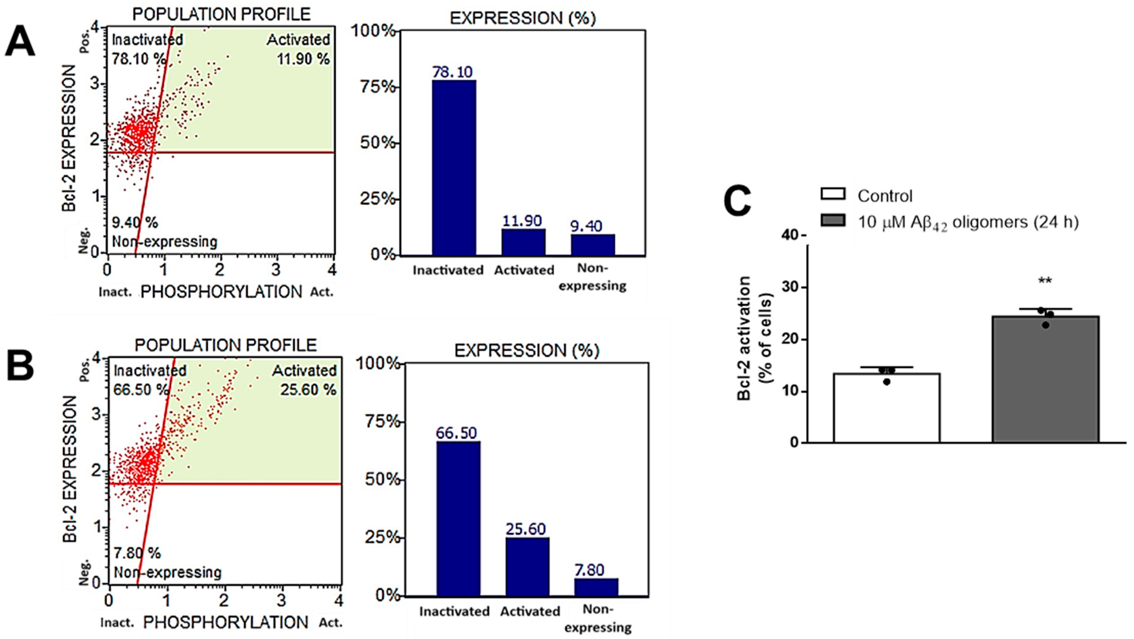 Biomedicines 13 00432 g004
