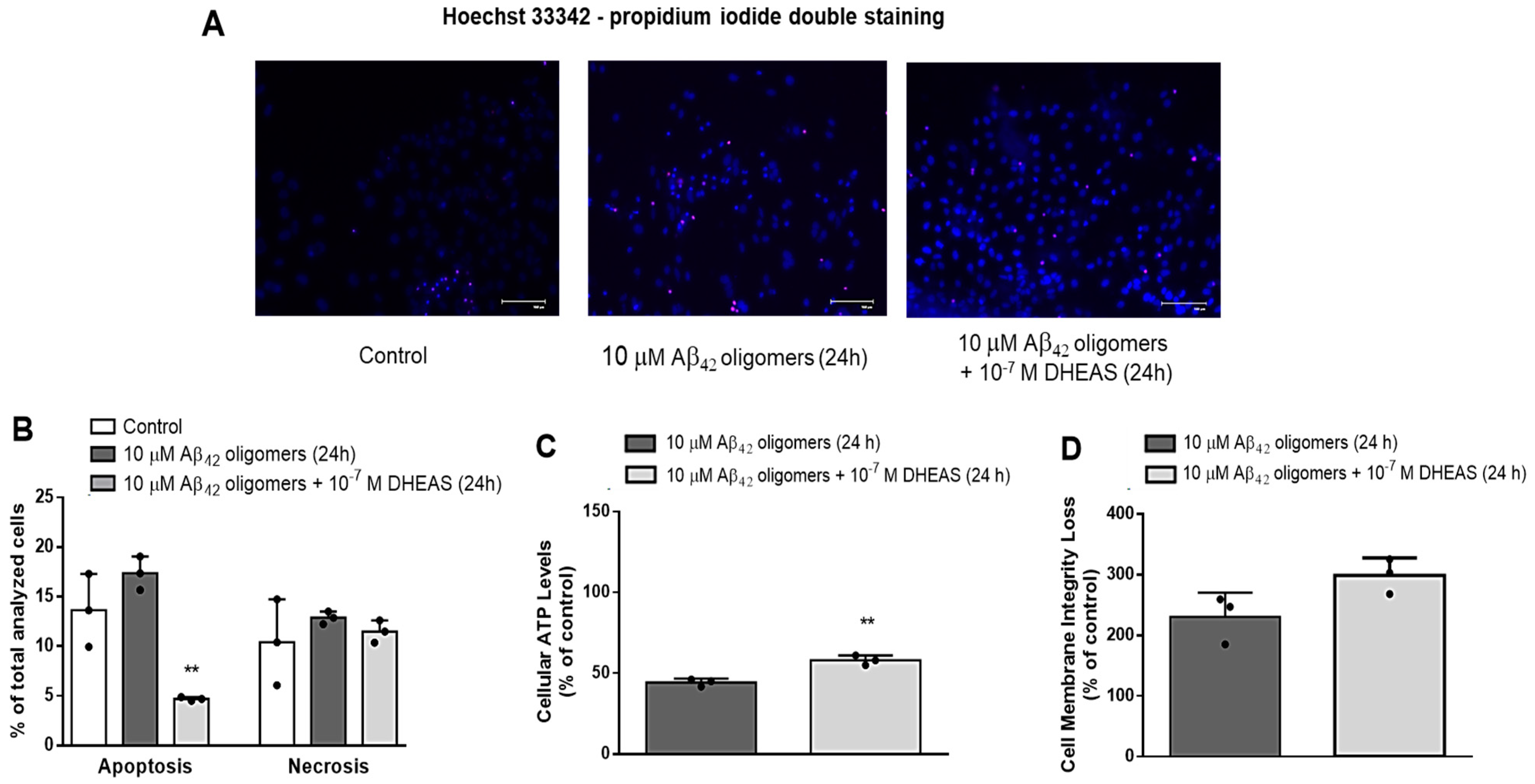 Biomedicines 13 00432 g006