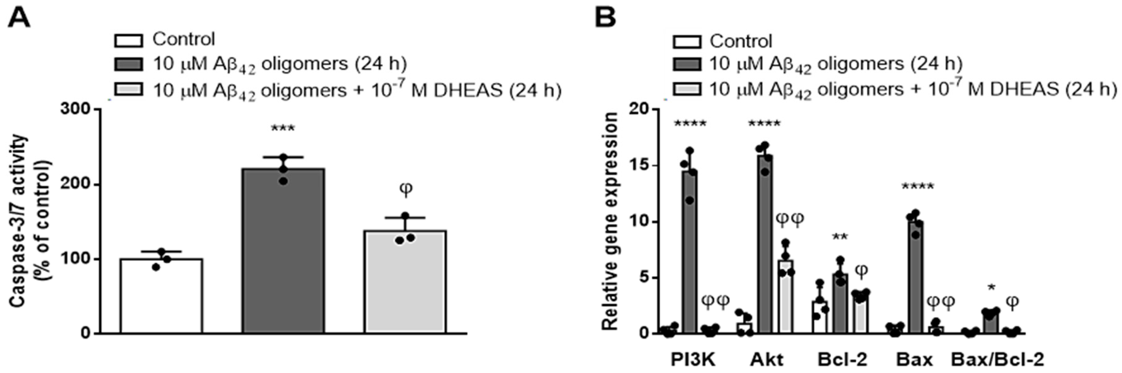 Biomedicines 13 00432 g007