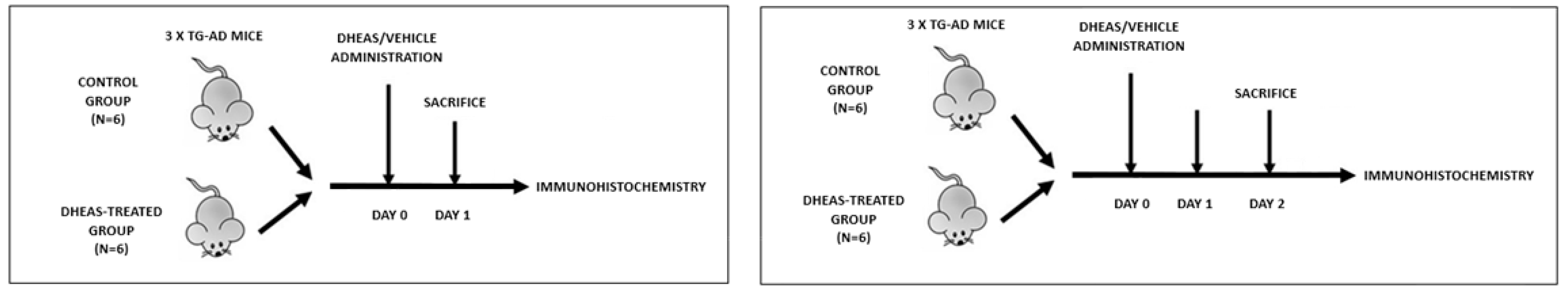 Biomedicines 13 00432 i001