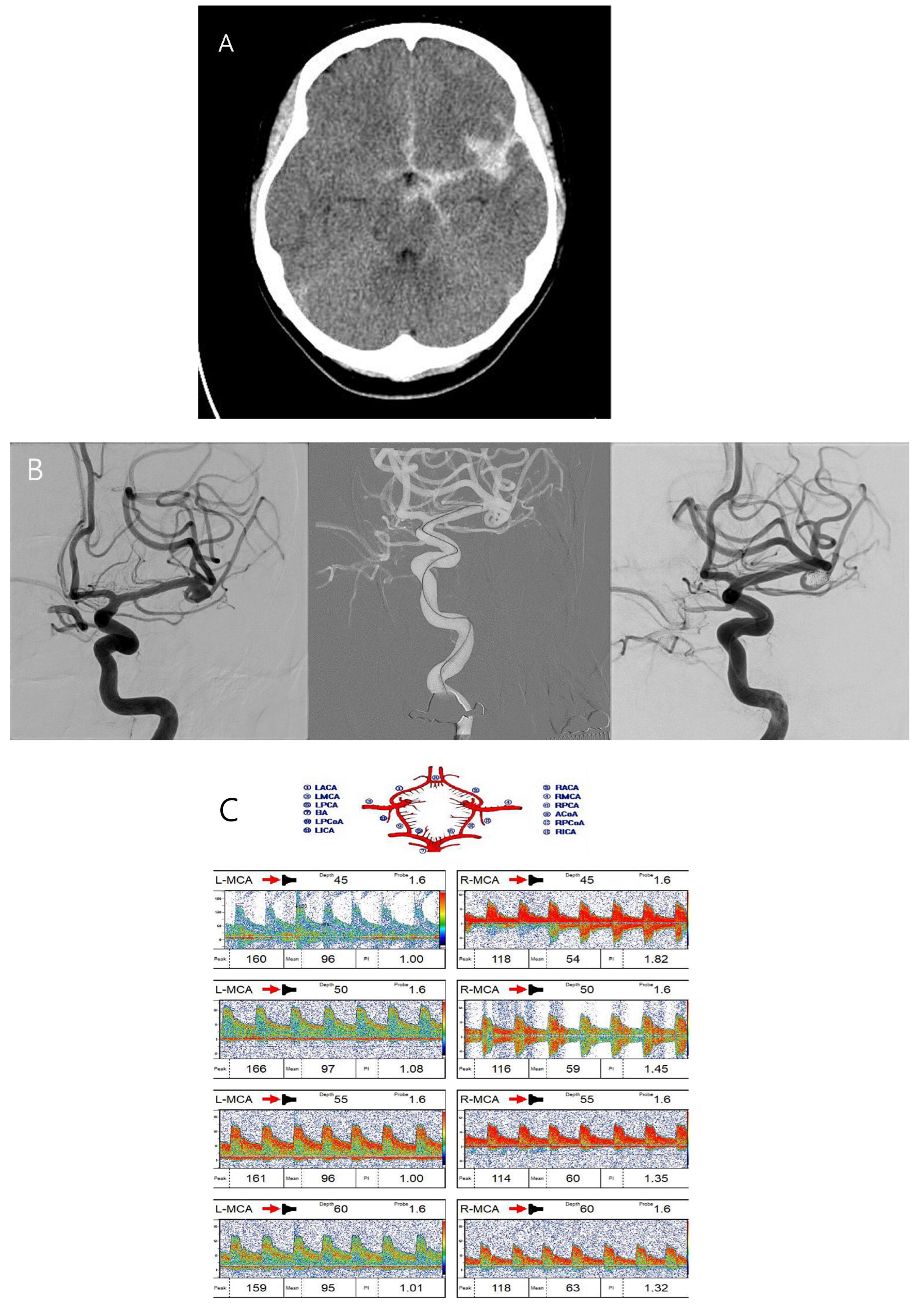 Biomedicines 13 00442 g003a