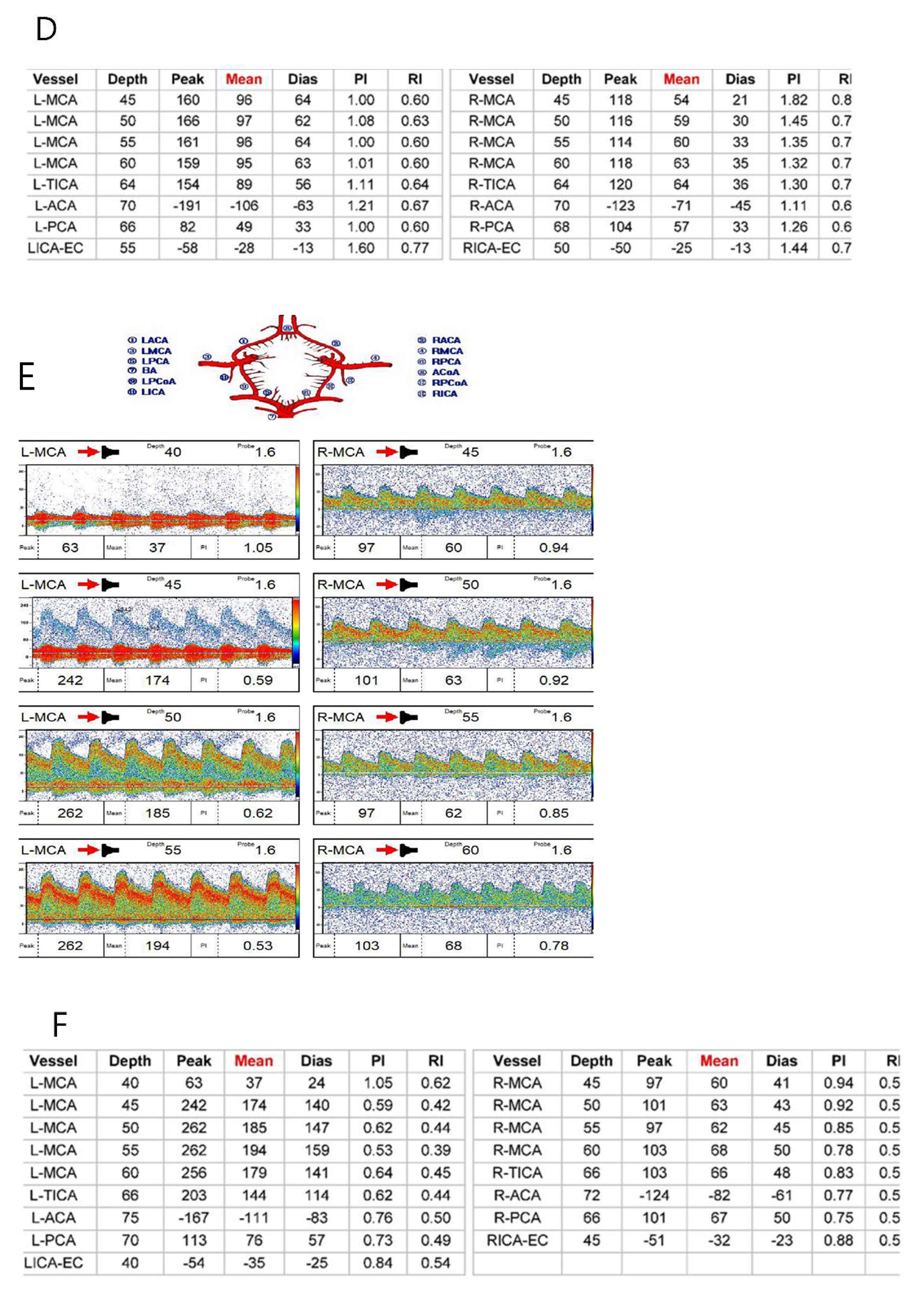 Biomedicines 13 00442 g003b