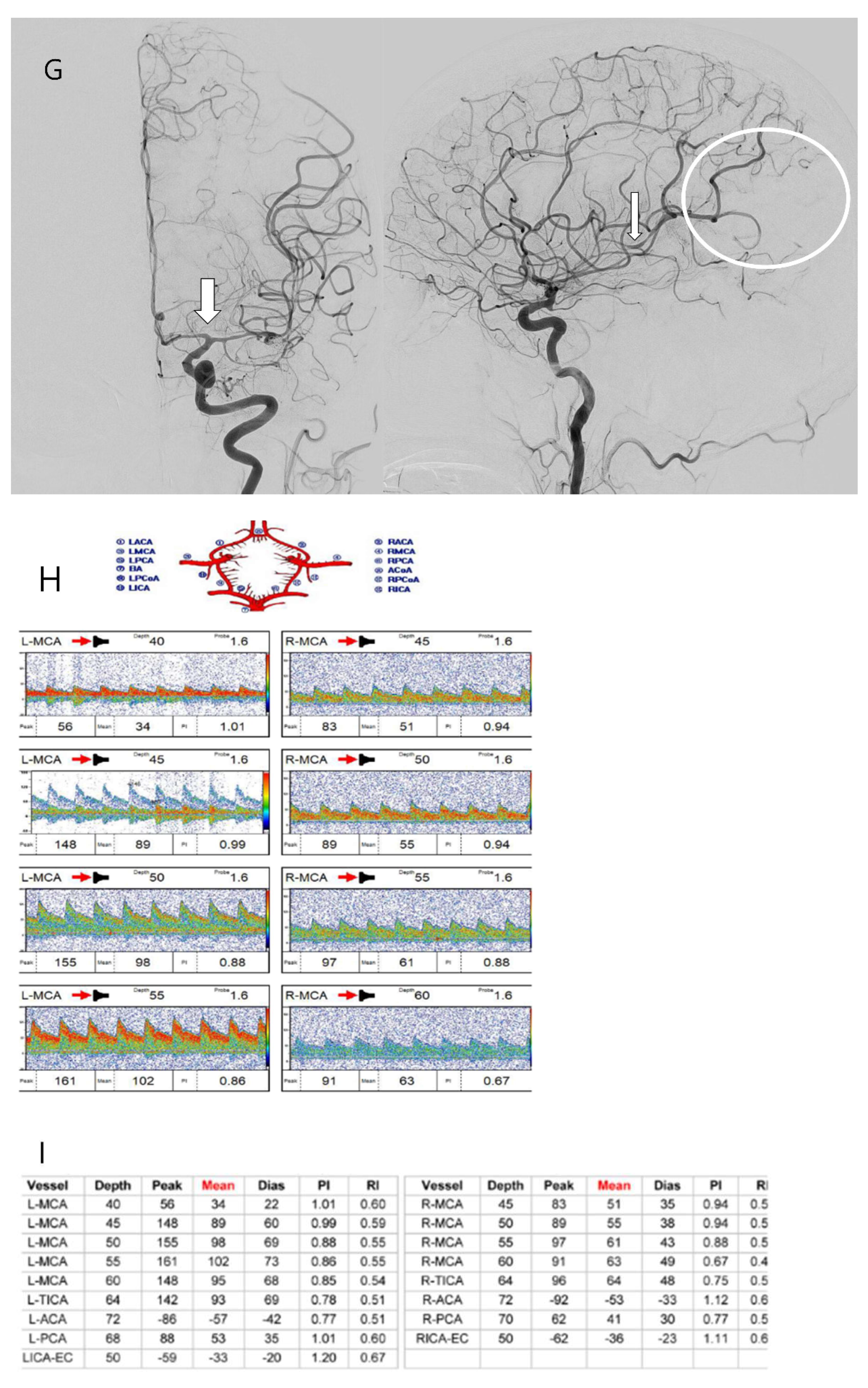 Biomedicines 13 00442 g003c