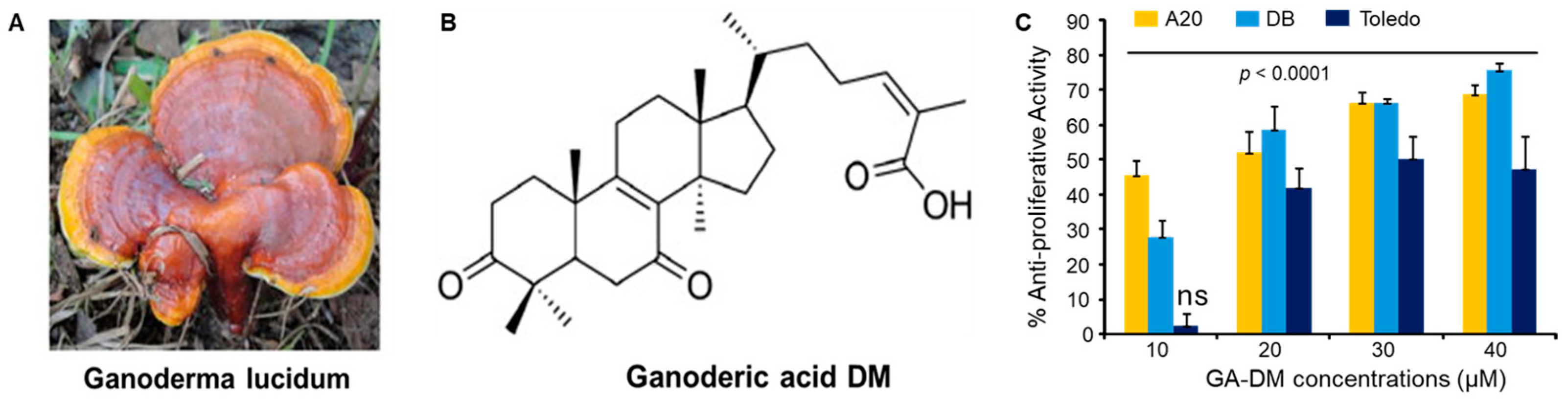 Biomedicines 13 00445 g001