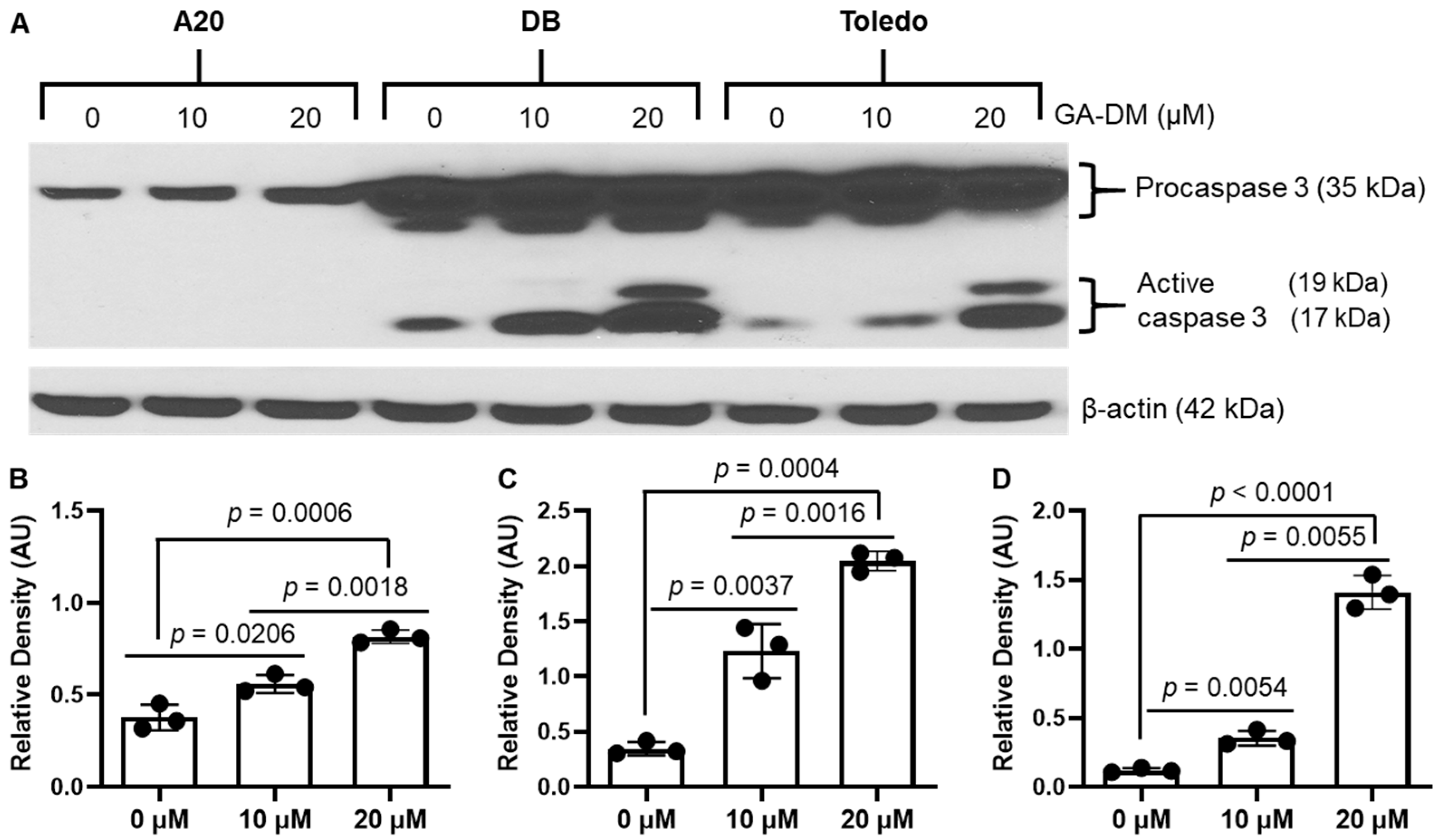 Biomedicines 13 00445 g002