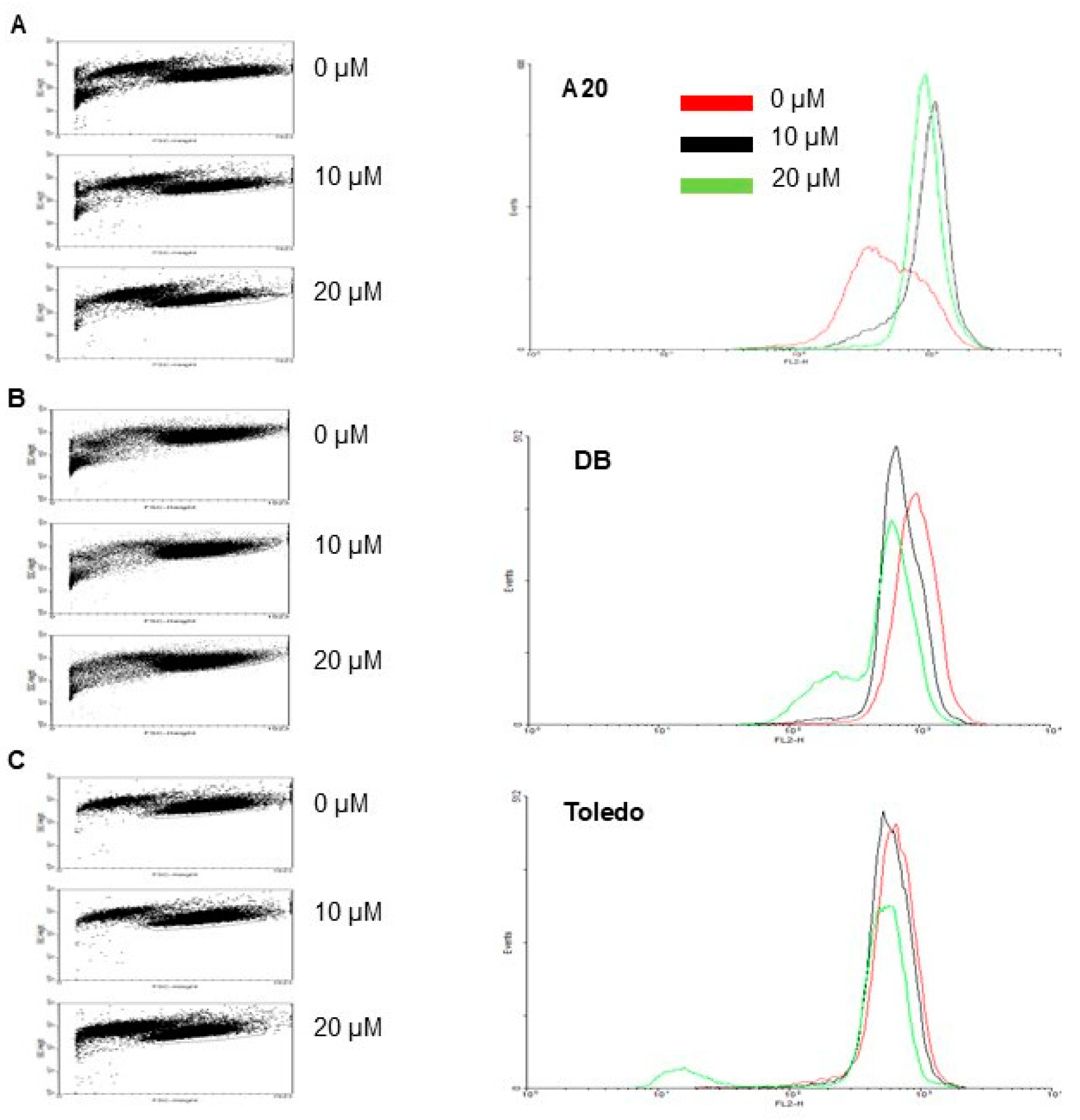 Biomedicines 13 00445 g005
