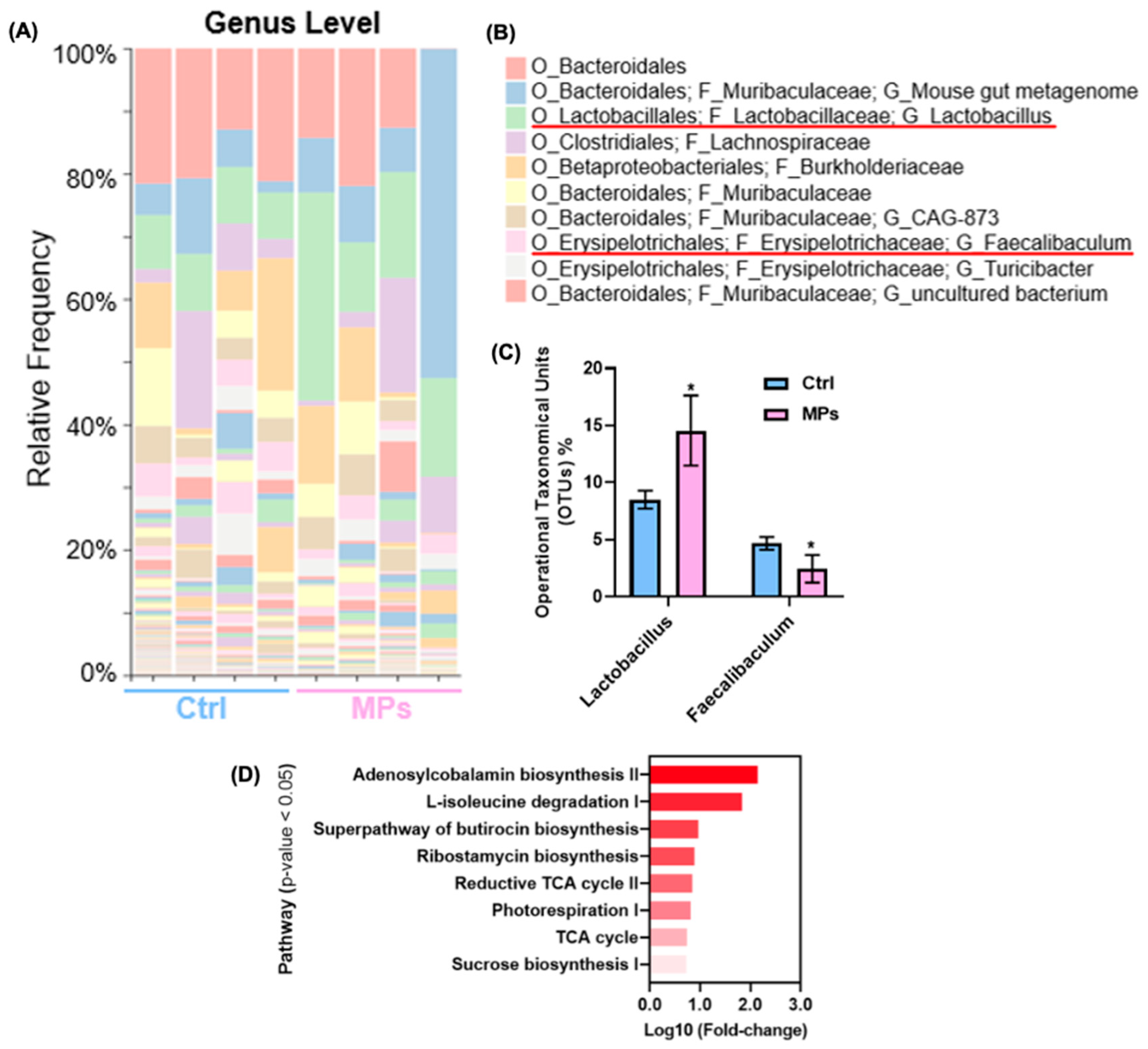Biomedicines 13 00446 g006