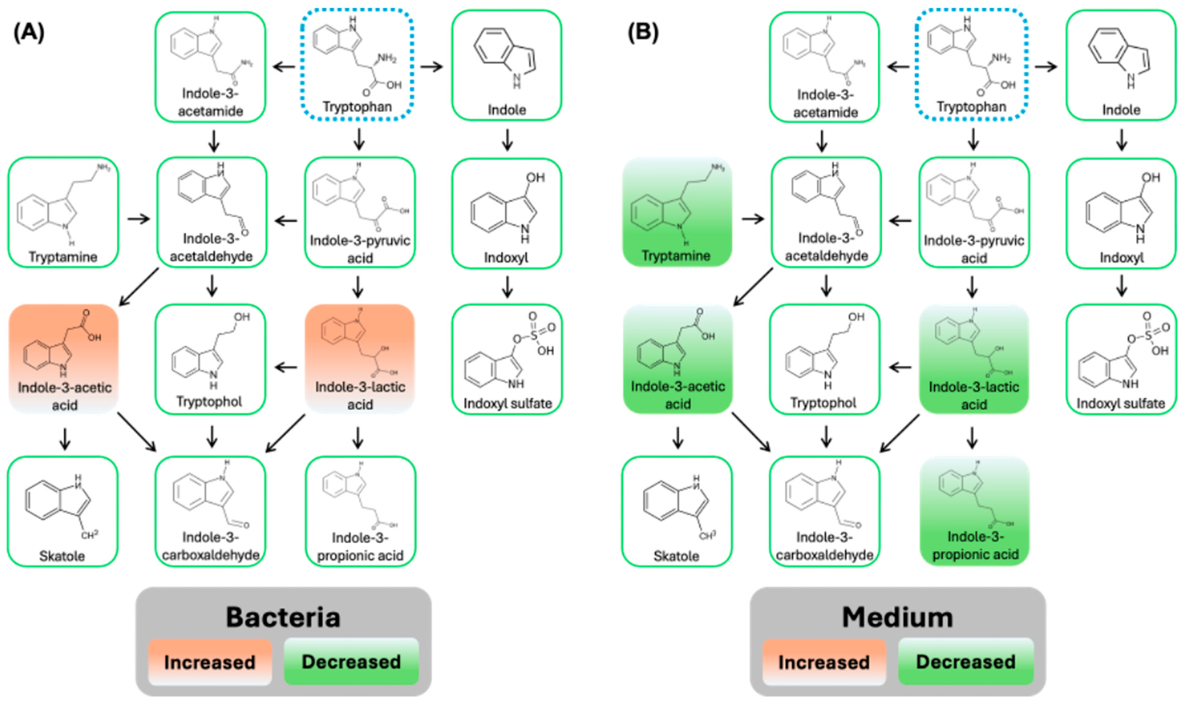 Biomedicines 13 00446 g008