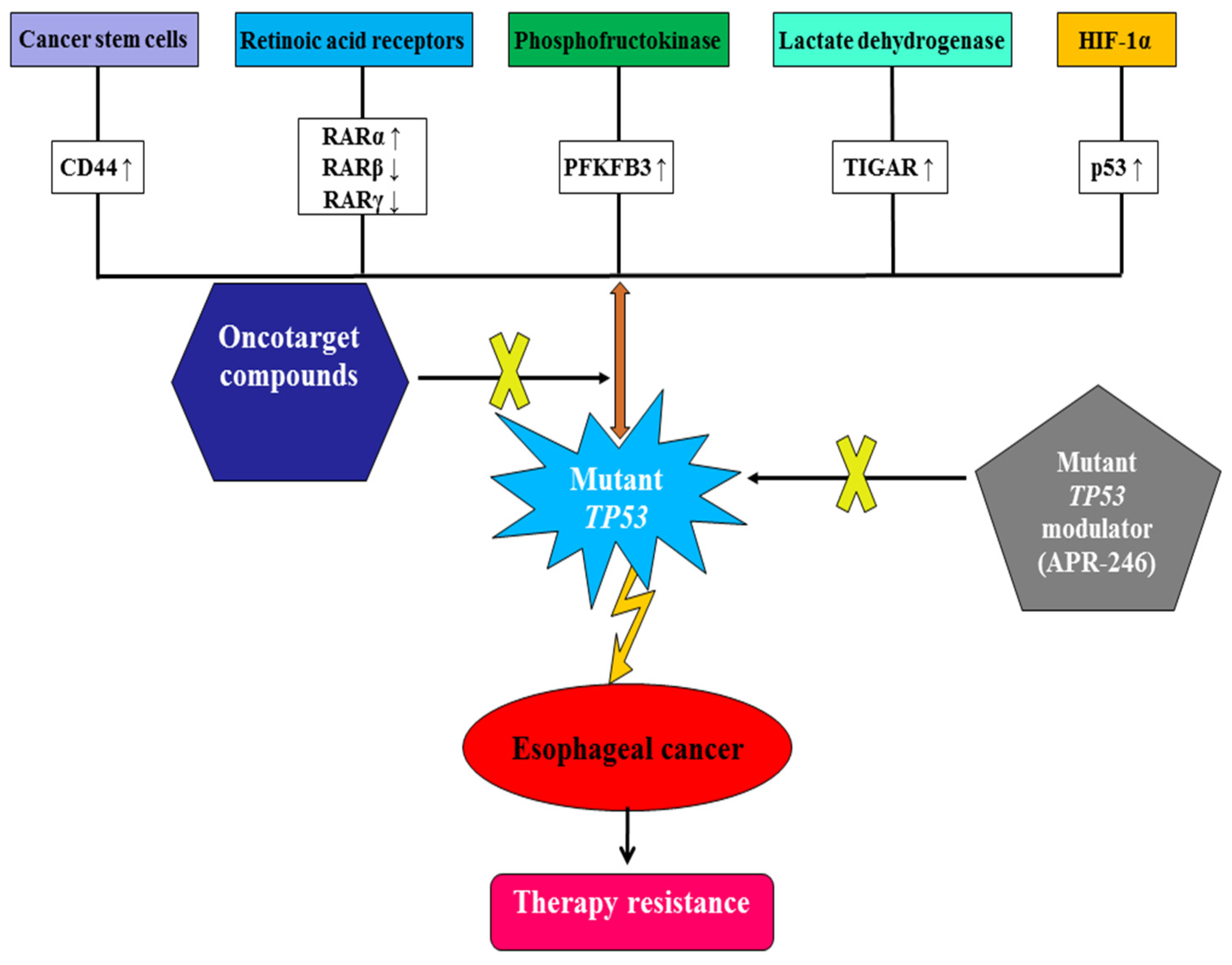 Biomedicines 13 00450 g001 Biomedicines 13 00450 g001