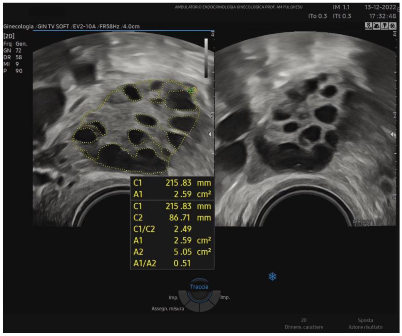 Biomedicines 13 00453 g001