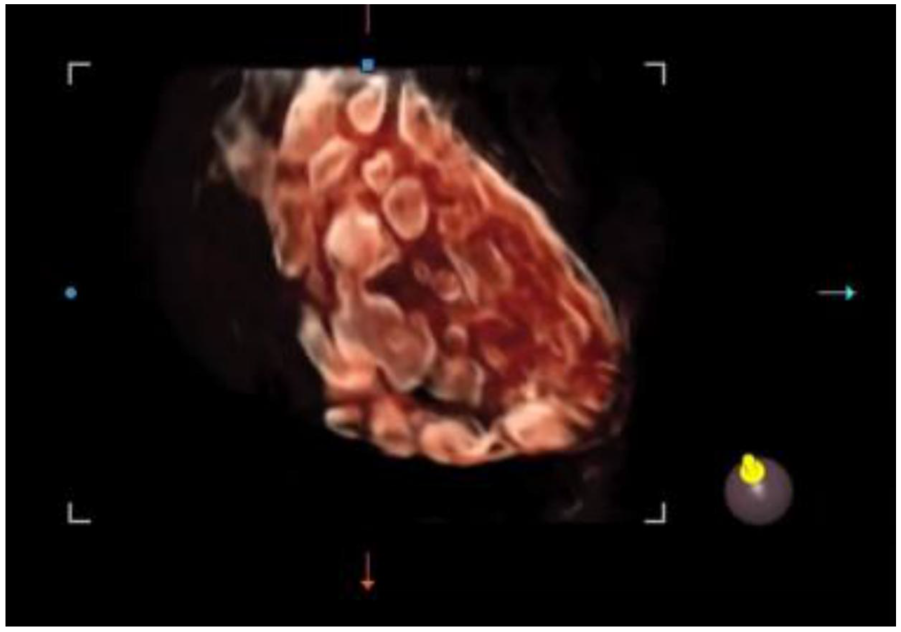 Biomedicines 13 00453 g003