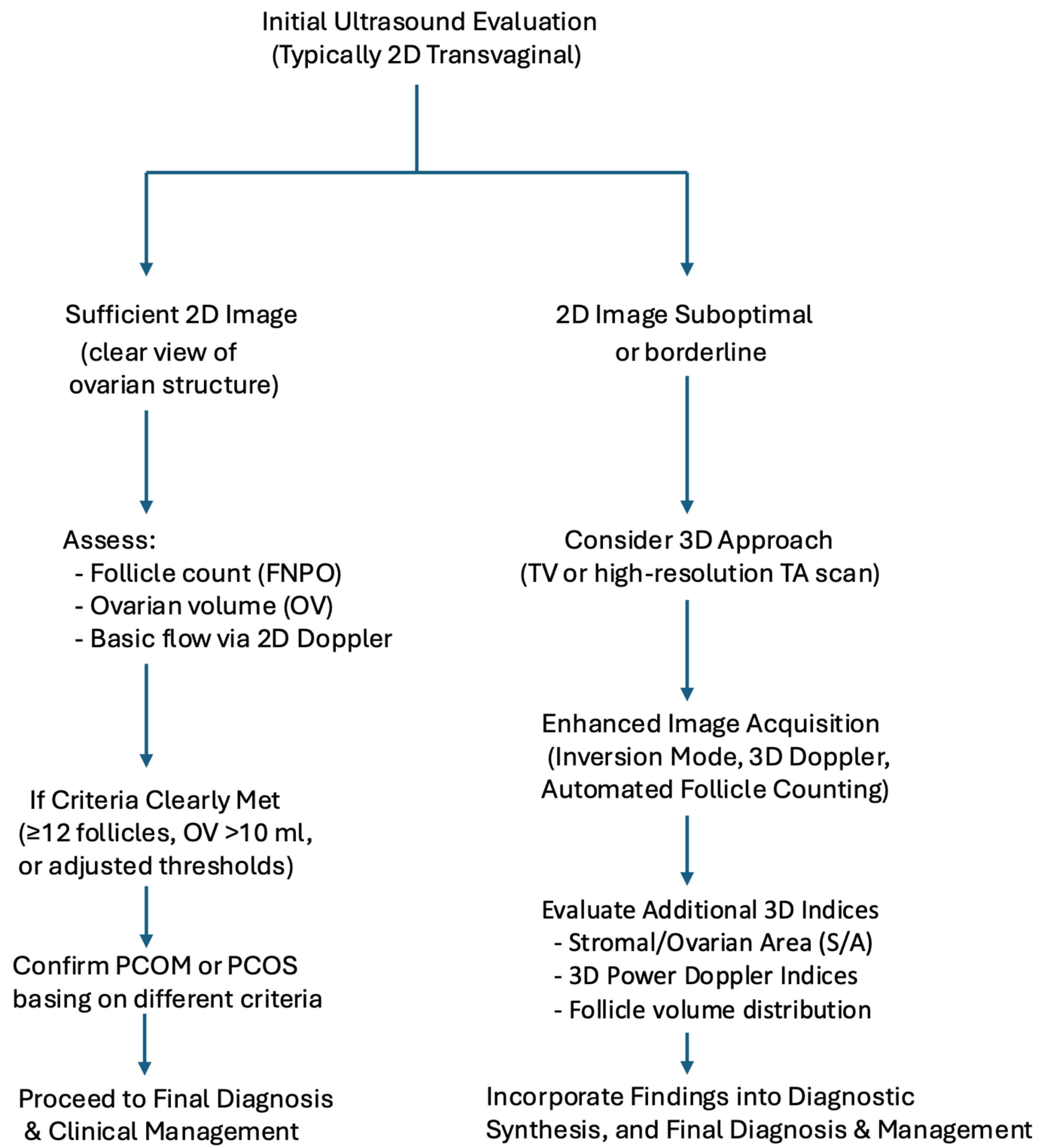 Biomedicines 13 00453 g004