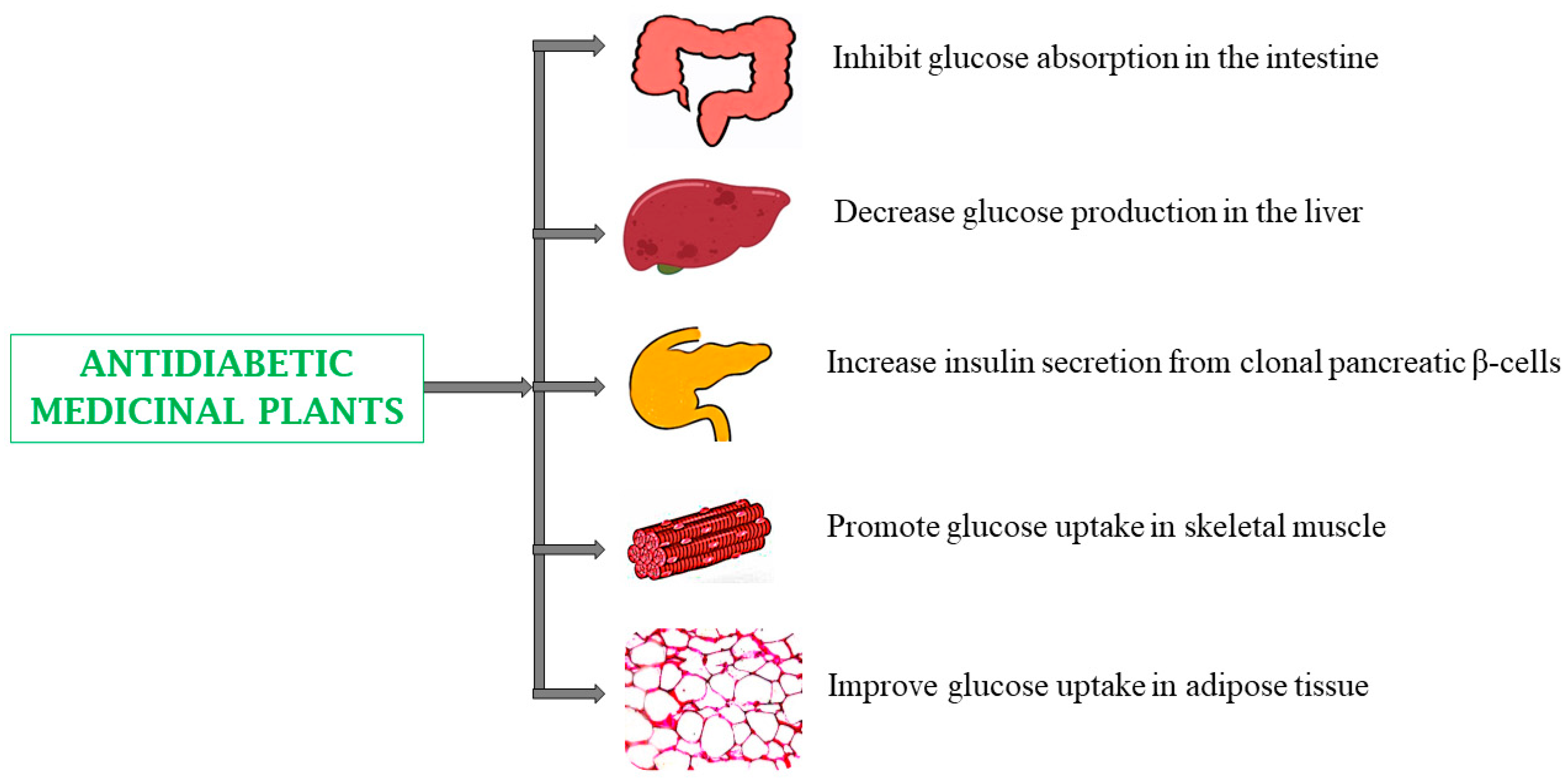 Biomedicines 13 00454 g003 Biomedicines 13 00454 g003