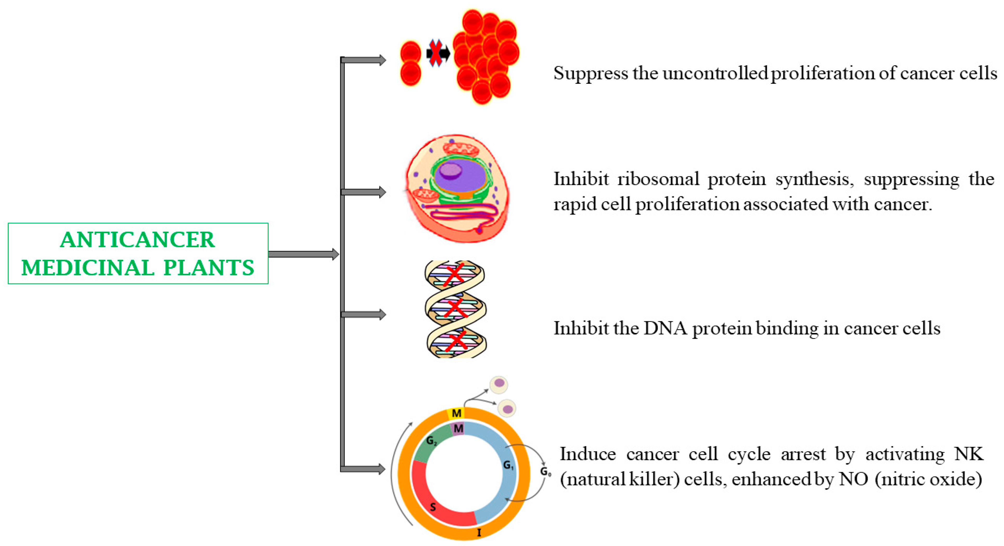 Biomedicines 13 00454 g004 Biomedicines 13 00454 g004