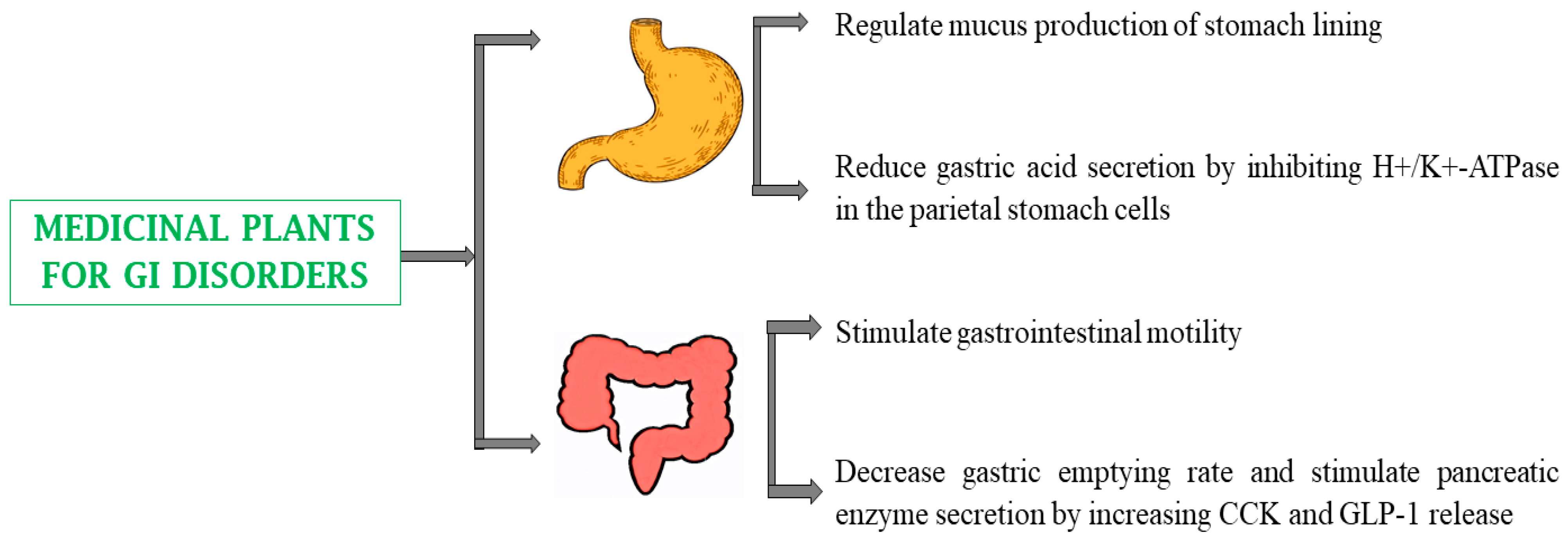 Biomedicines 13 00454 g008 Biomedicines 13 00454 g008