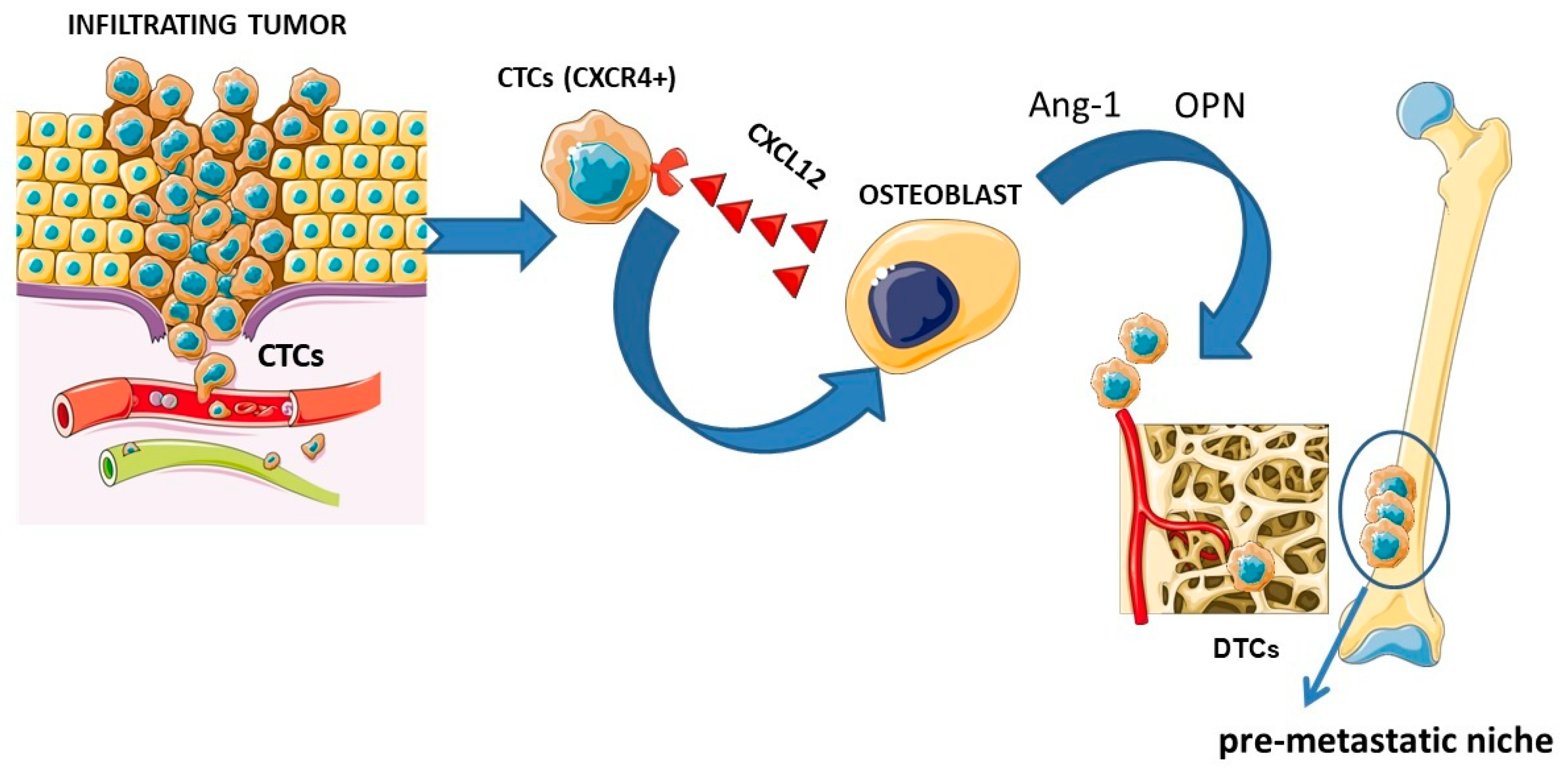 Biomedicines 13 00456 g001 Biomedicines 13 00456 g001