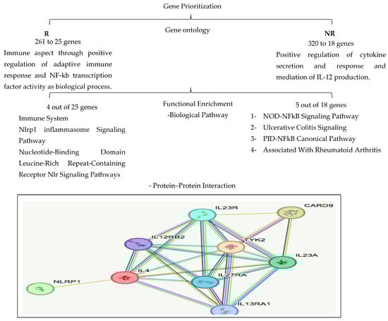 Biomedicines 13 00459 g005