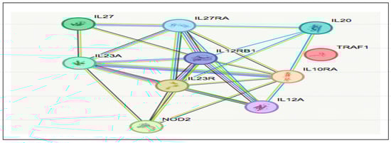 Biomedicines 13 00459 g006