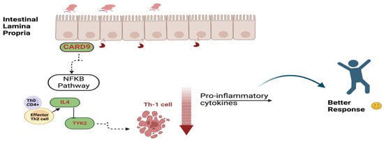 Biomedicines 13 00459 g007