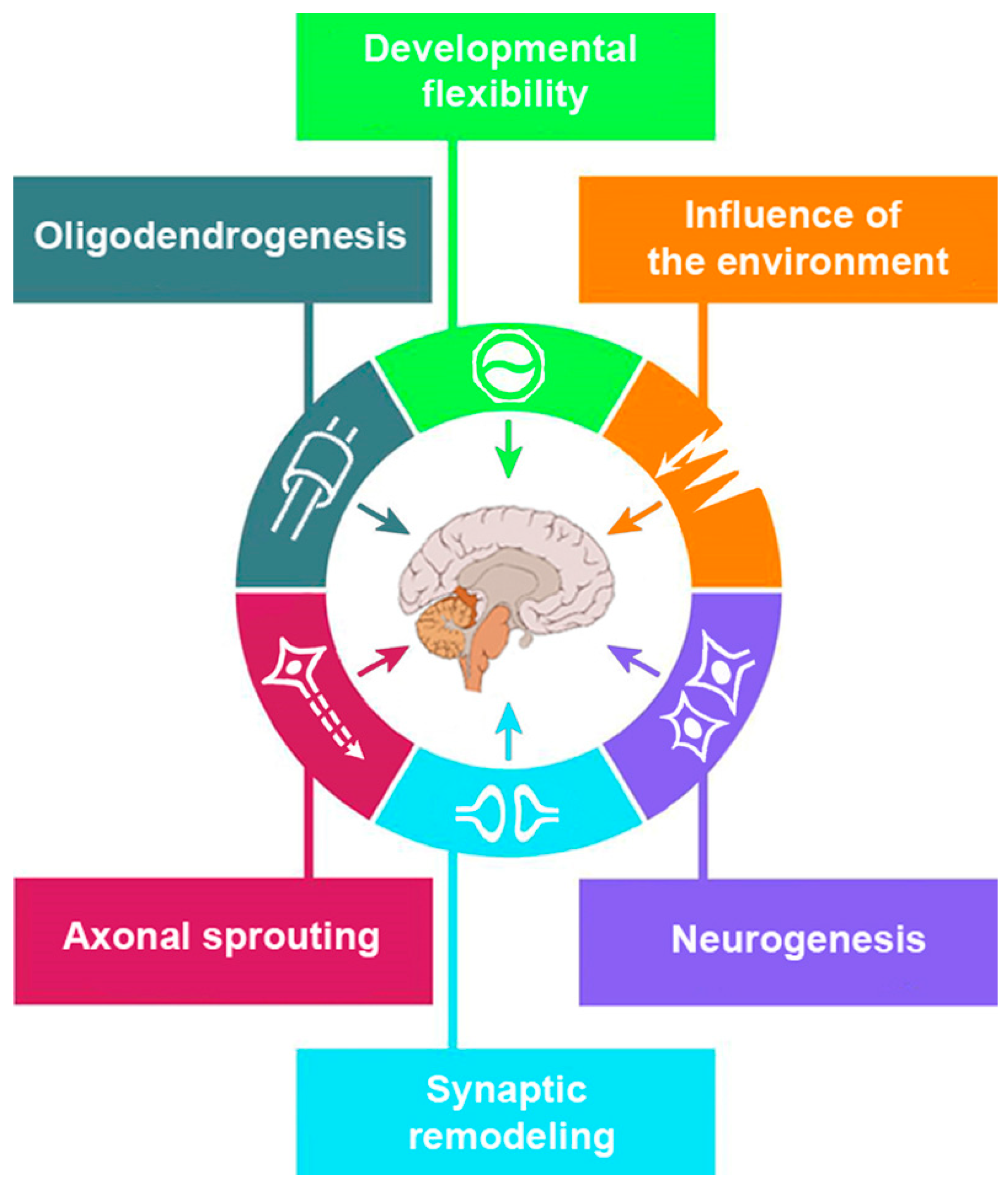 Biomedicines 13 00460 g001 Biomedicines 13 00460 g001