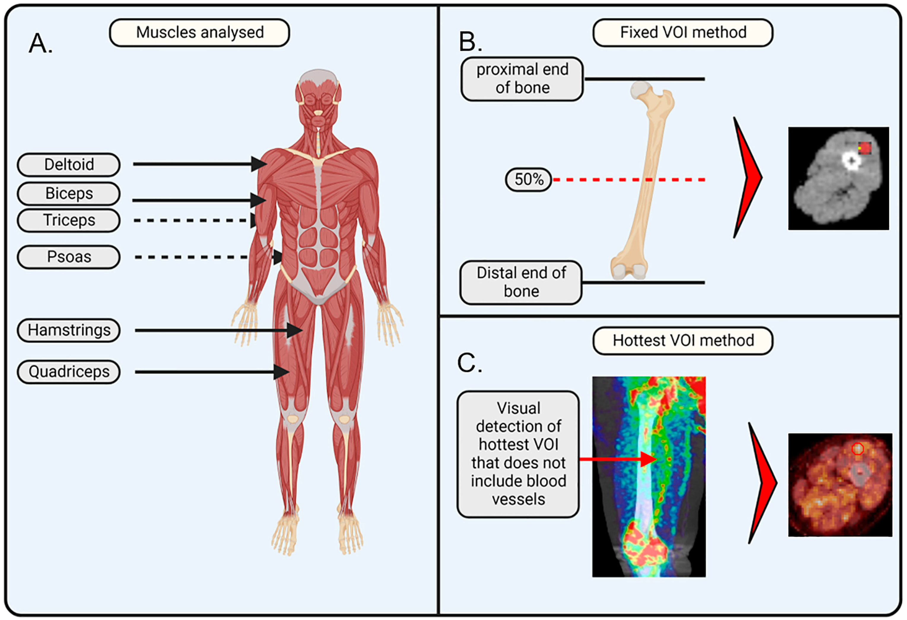 Biomedicines 13 00465 g001
