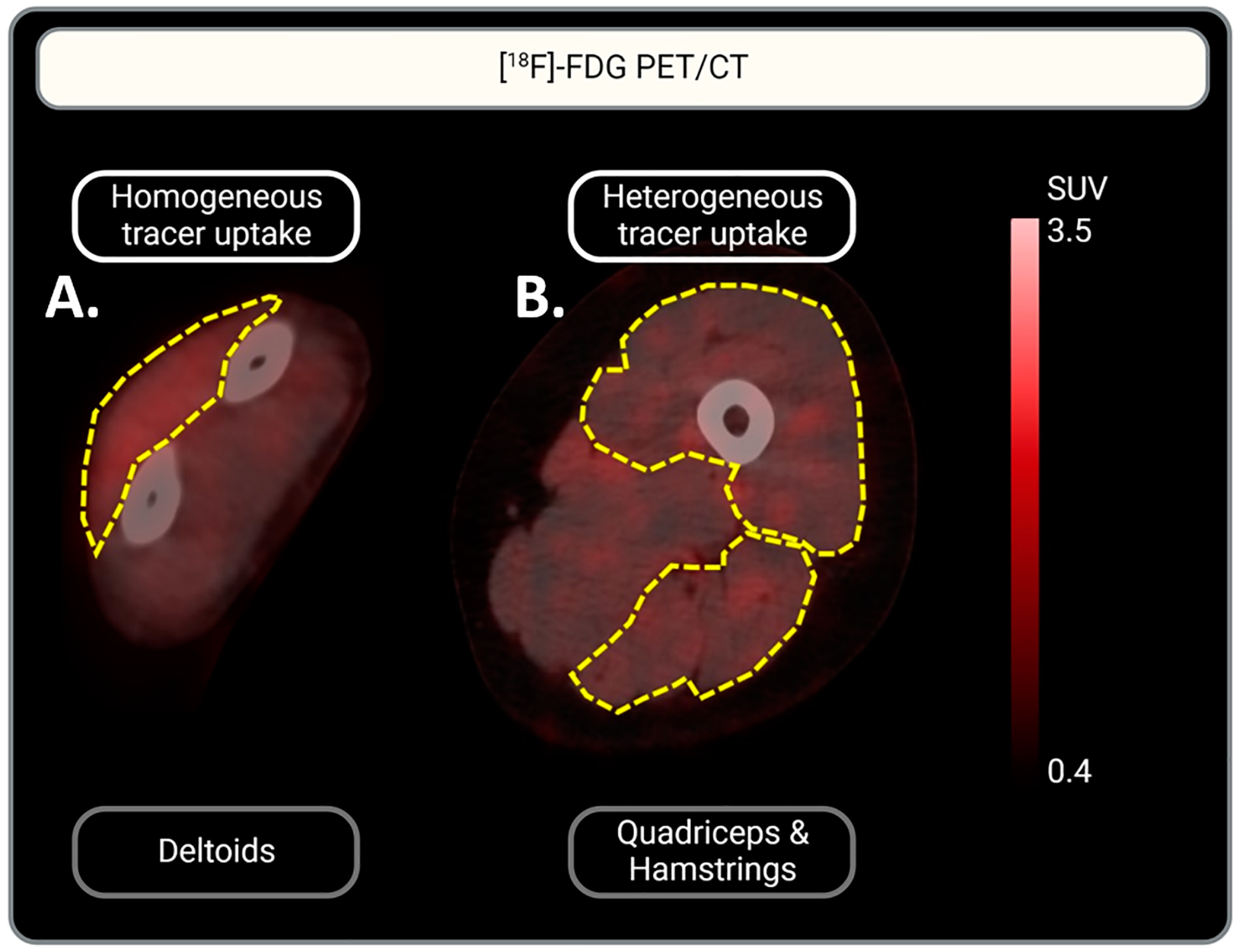 Biomedicines 13 00465 g002