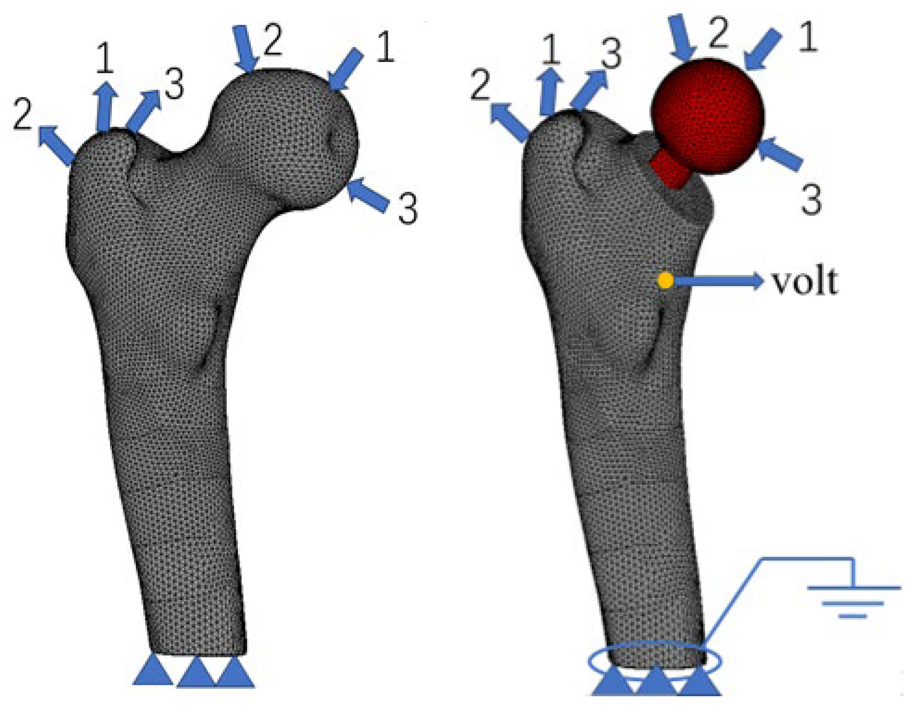 Biomedicines 13 00471 g001