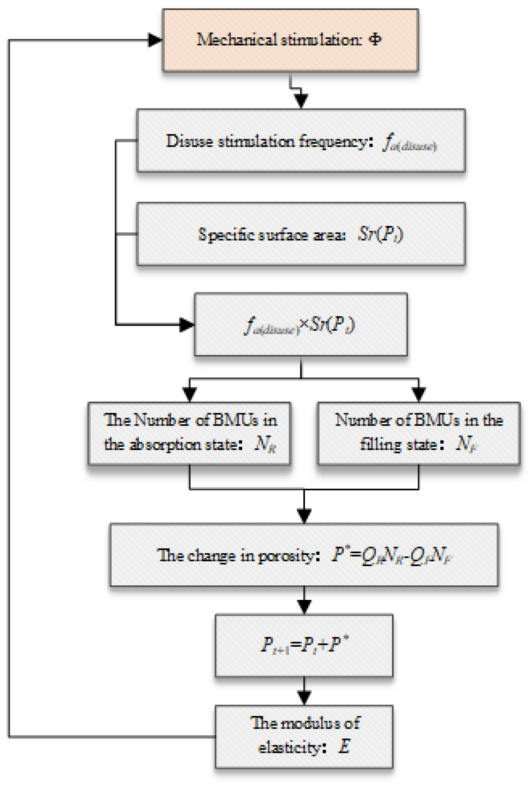 Biomedicines 13 00471 g003