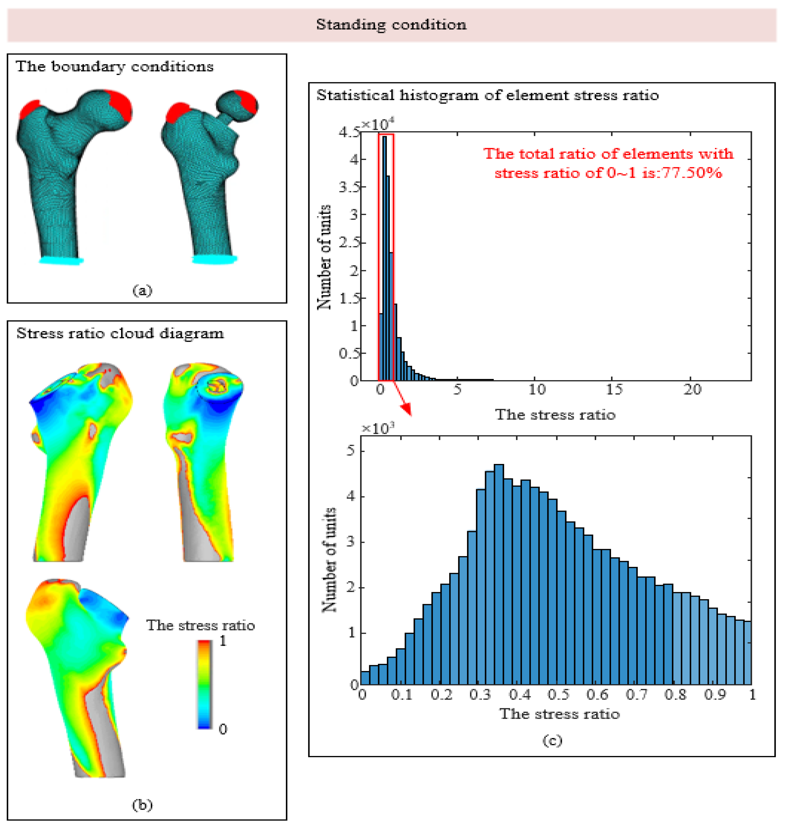 Biomedicines 13 00471 g005