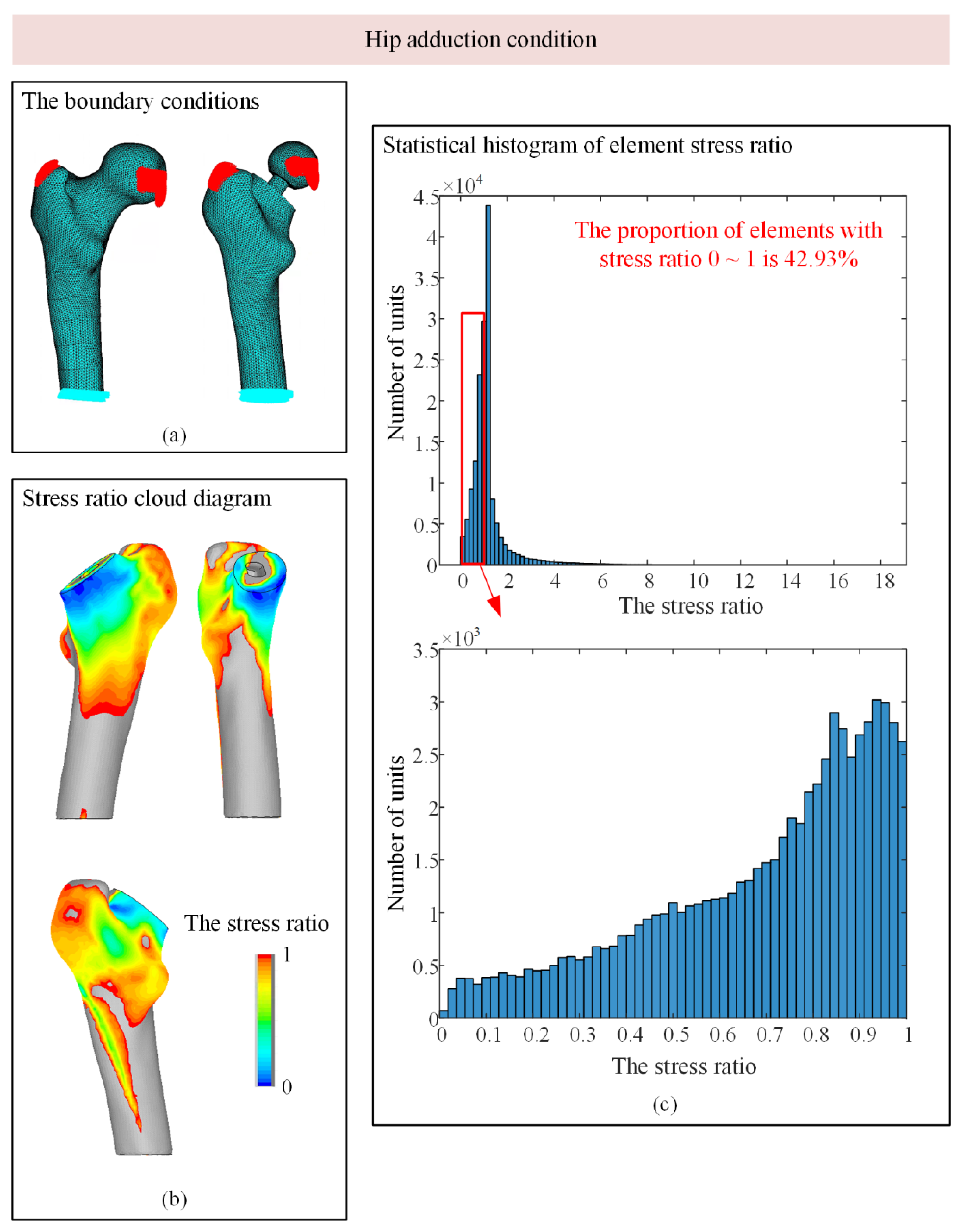 Biomedicines 13 00471 g007