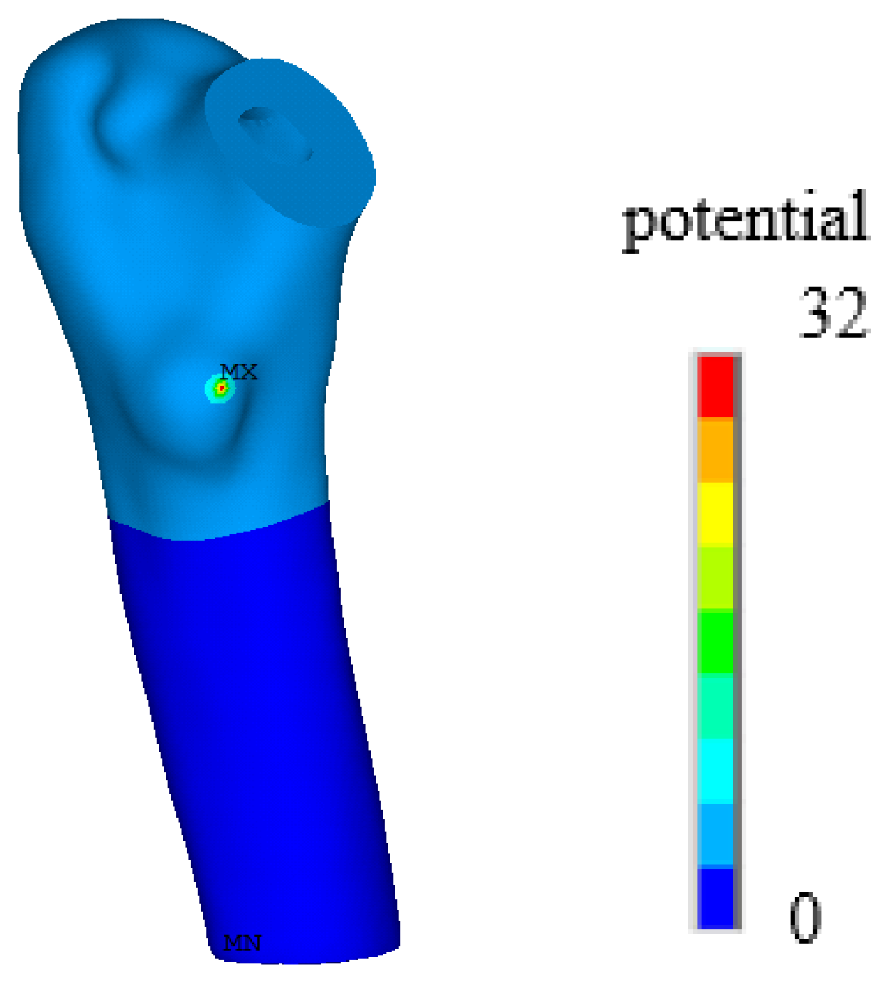 Biomedicines 13 00471 g008