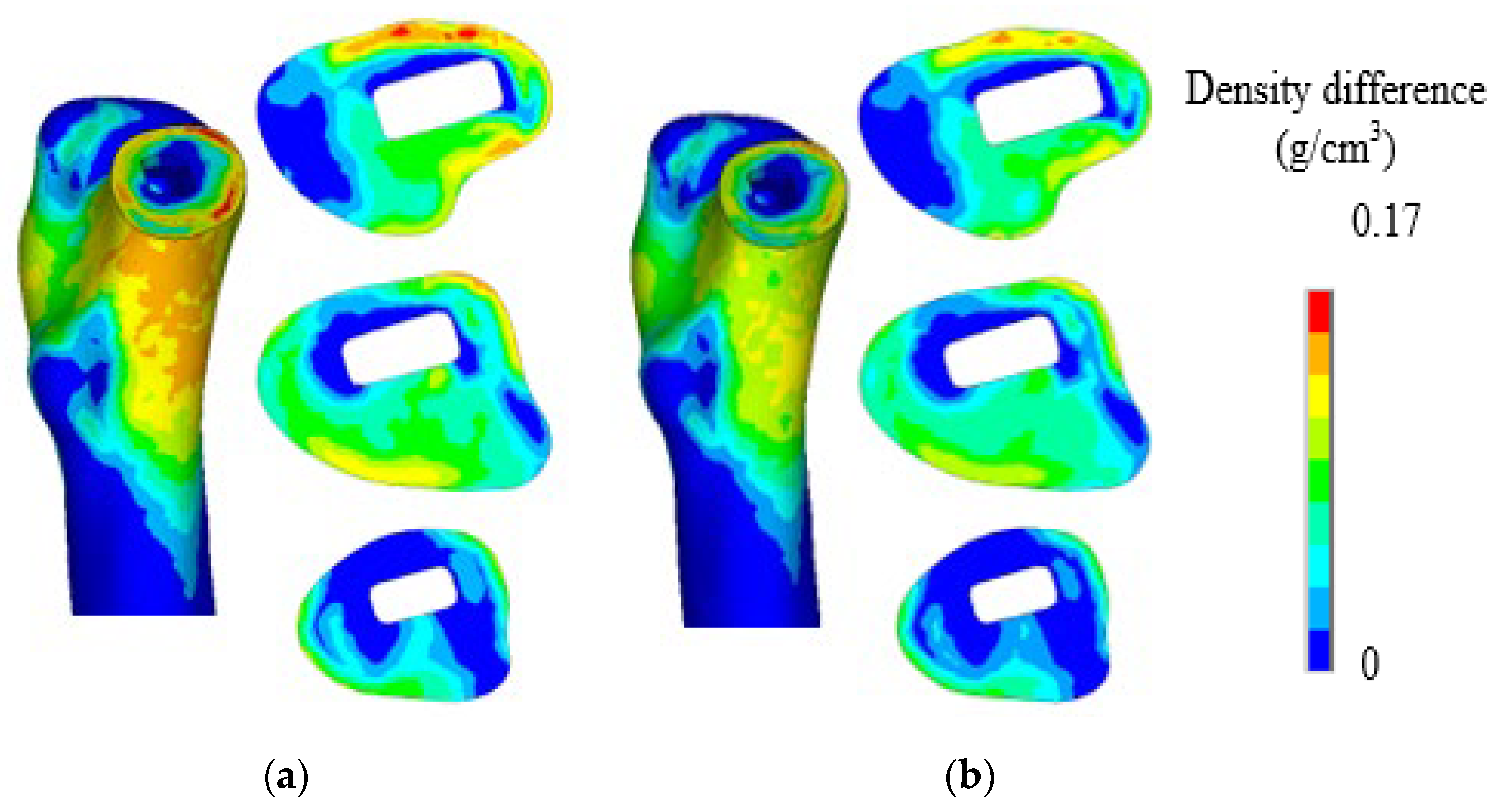 Biomedicines 13 00471 g012