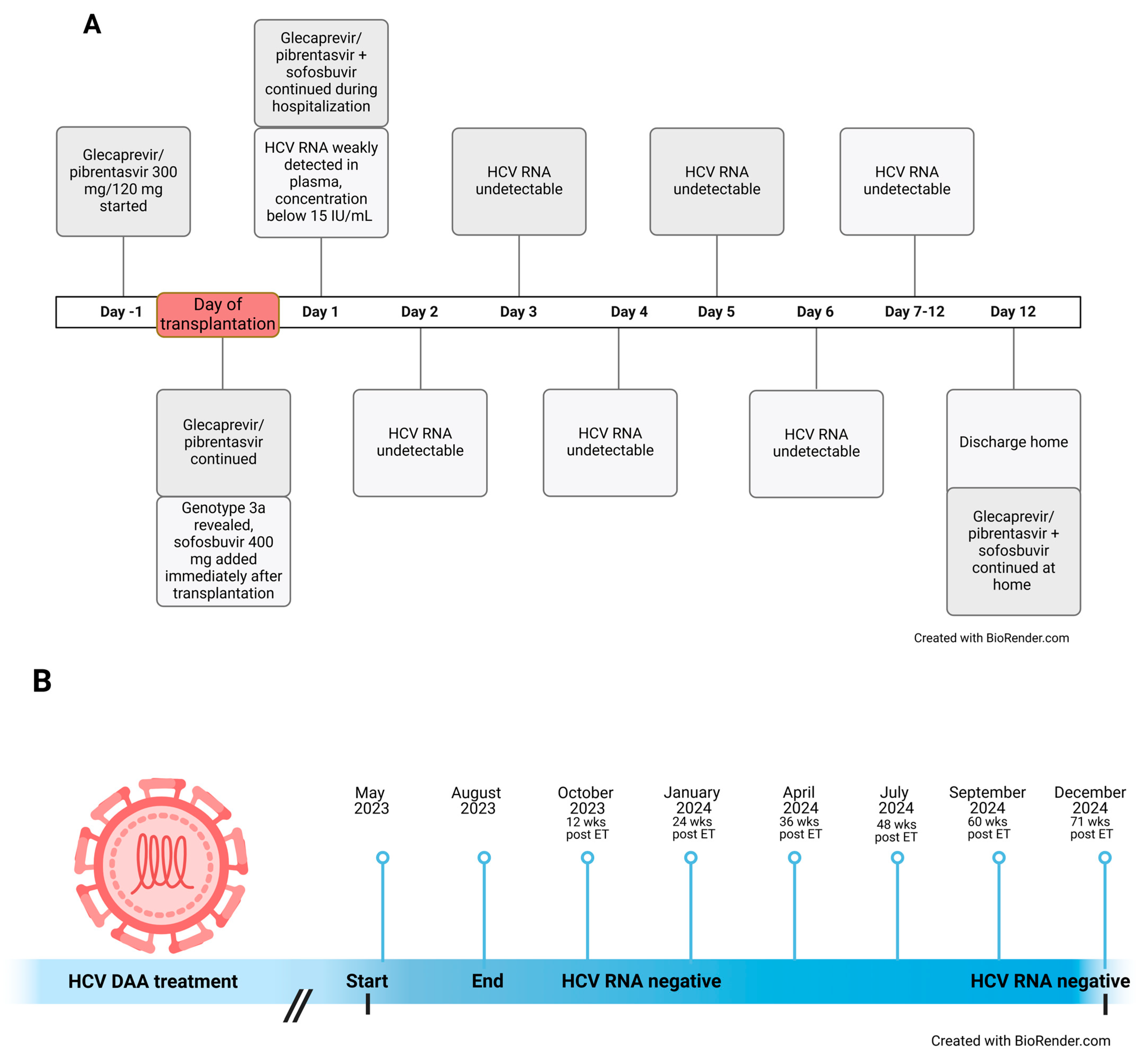 Biomedicines 13 00472 g001