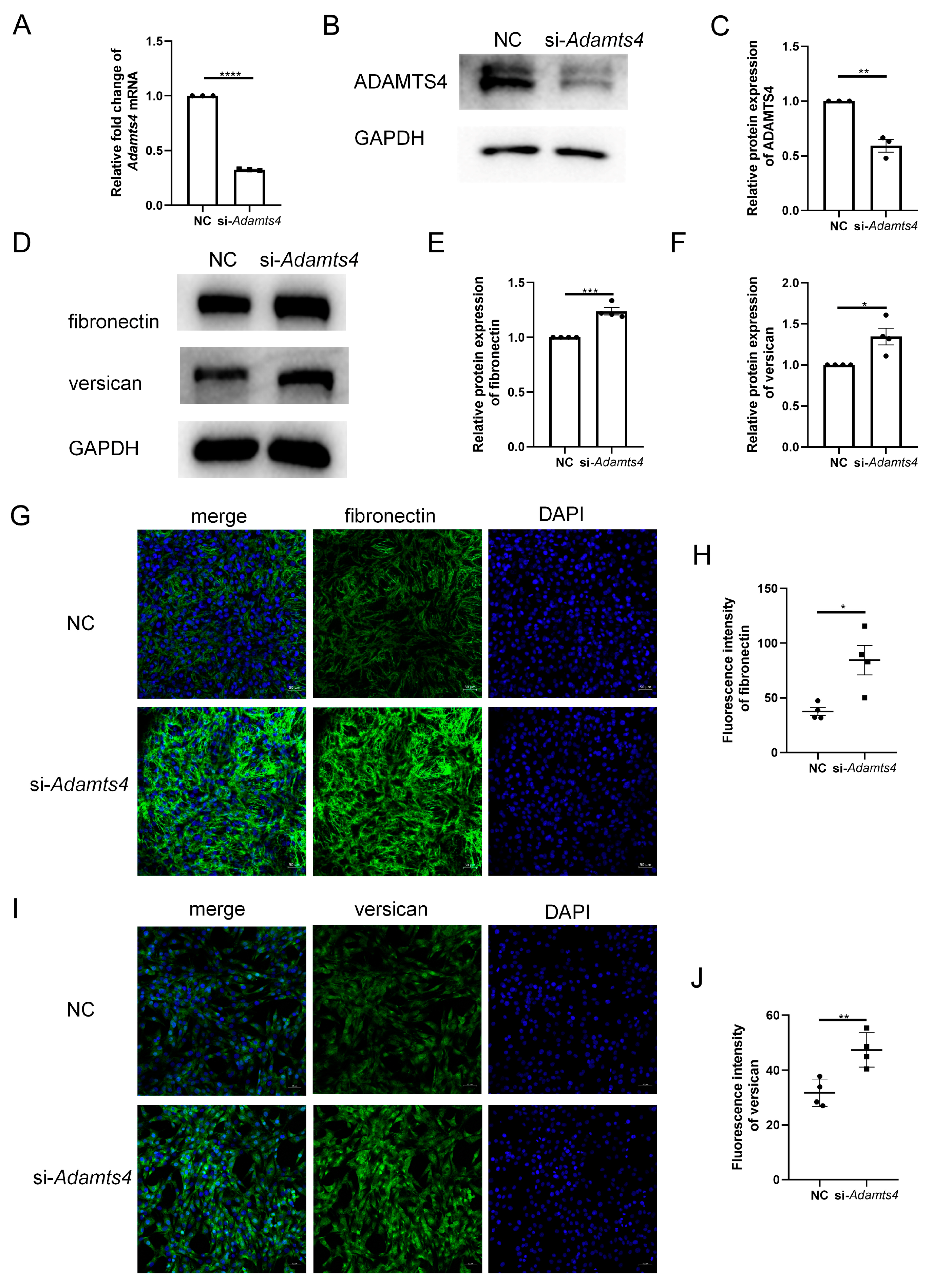 Biomedicines 13 00474 g006