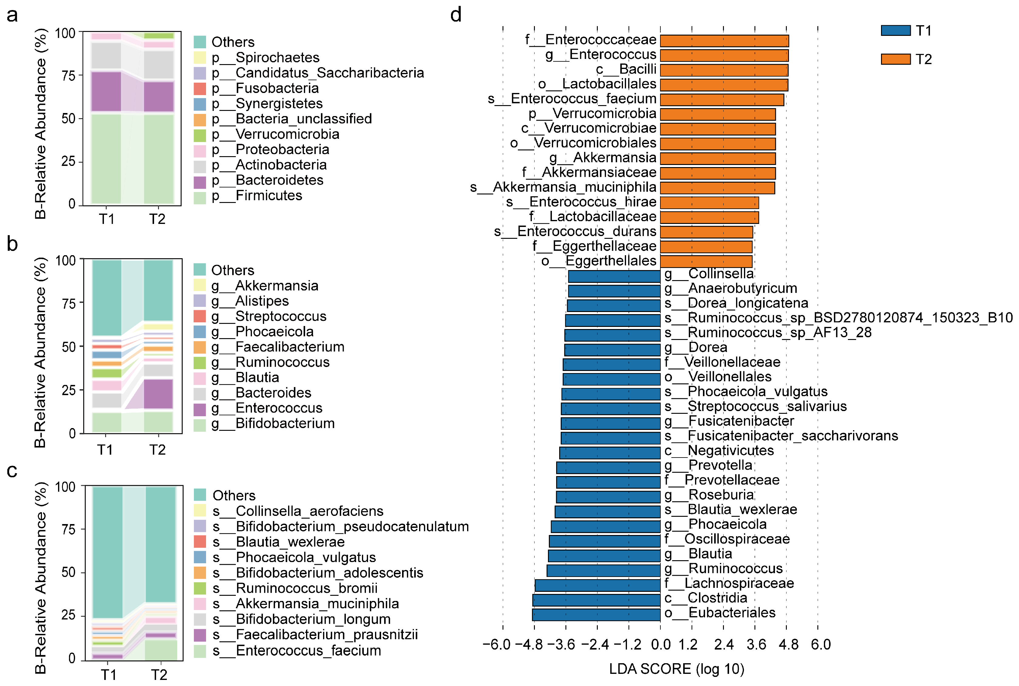 Biomedicines 13 00475 g002